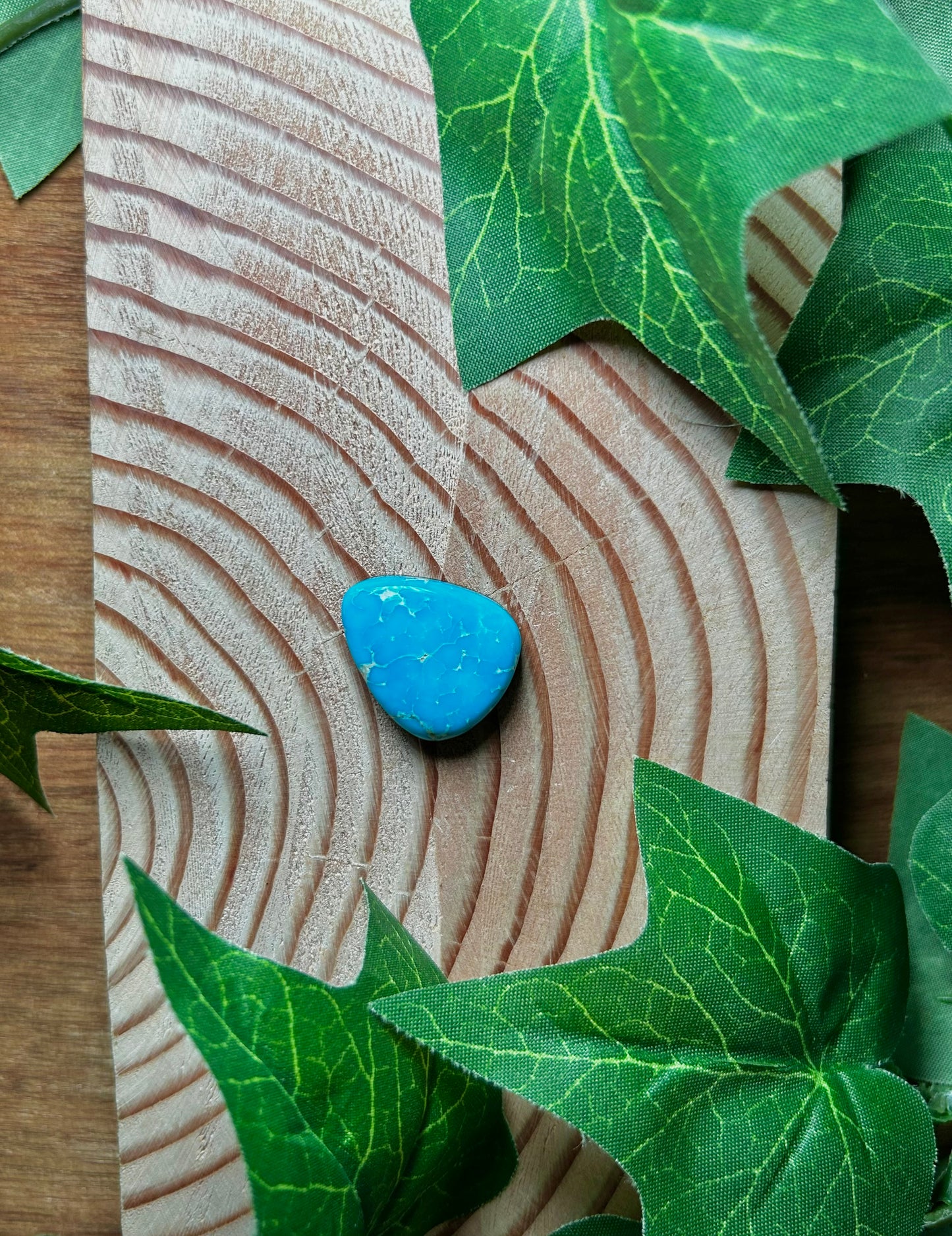 Blue Bird Turquoise Cabs
