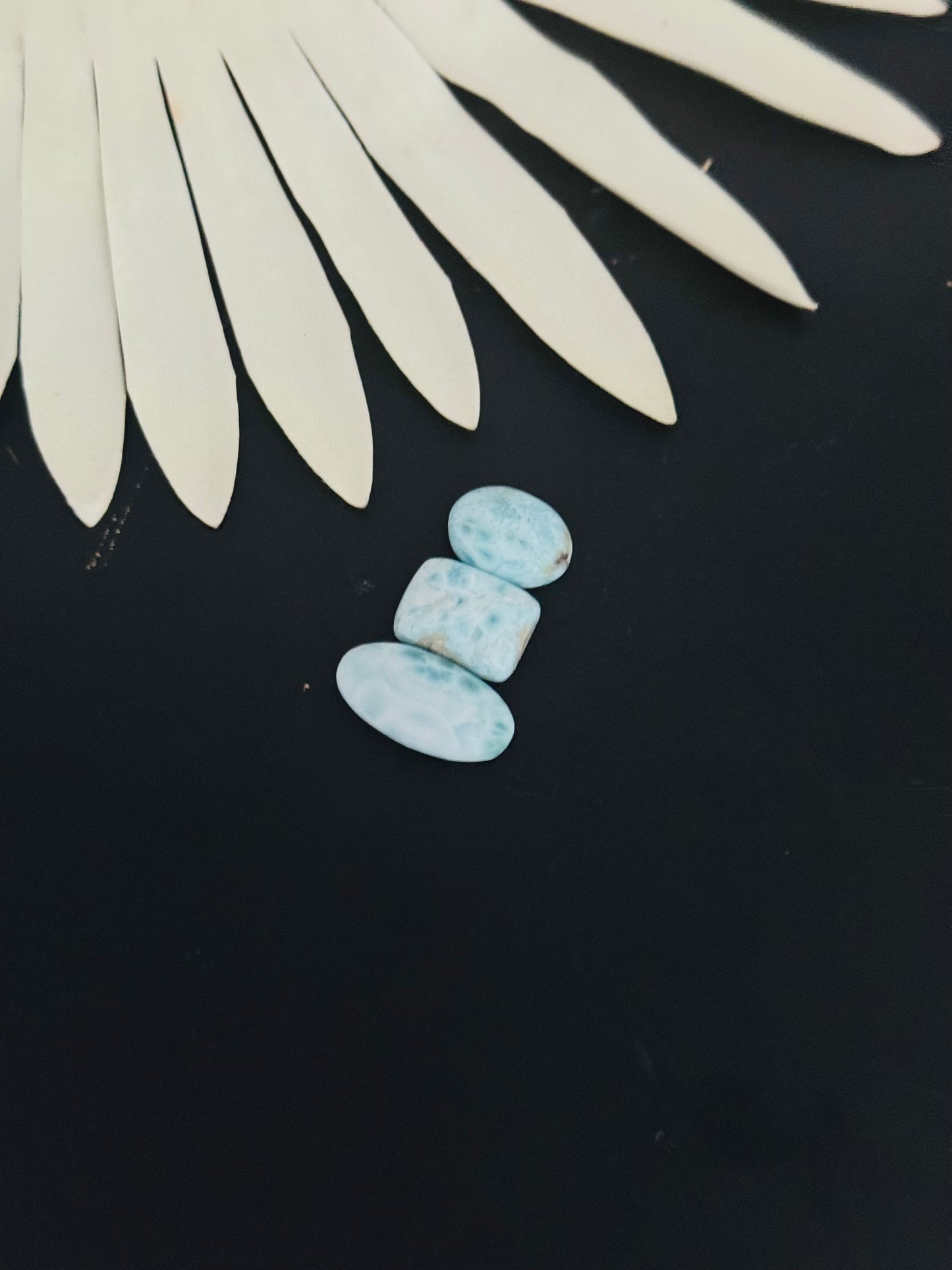 Larimar Cabs