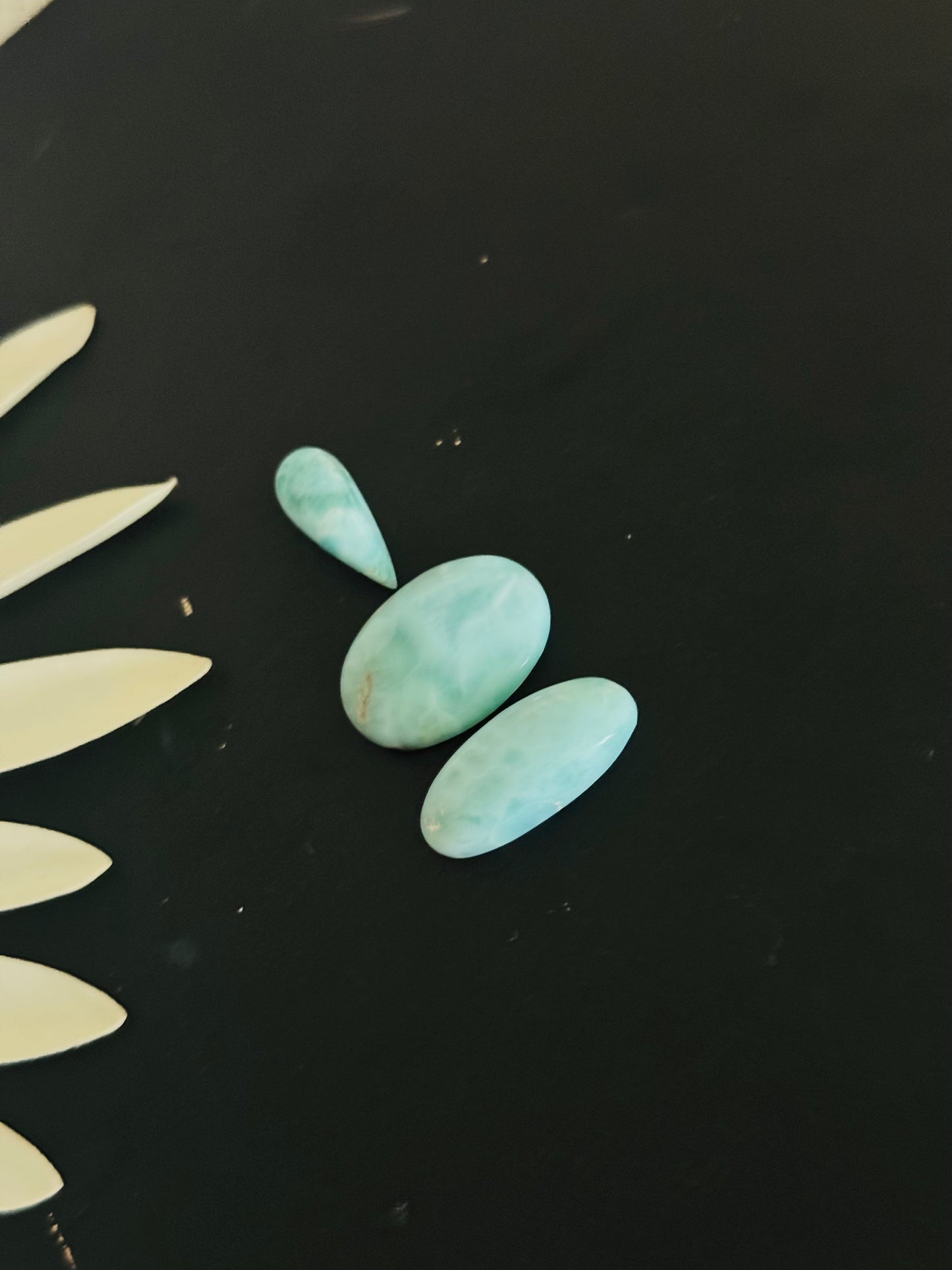 Larimar Cabs