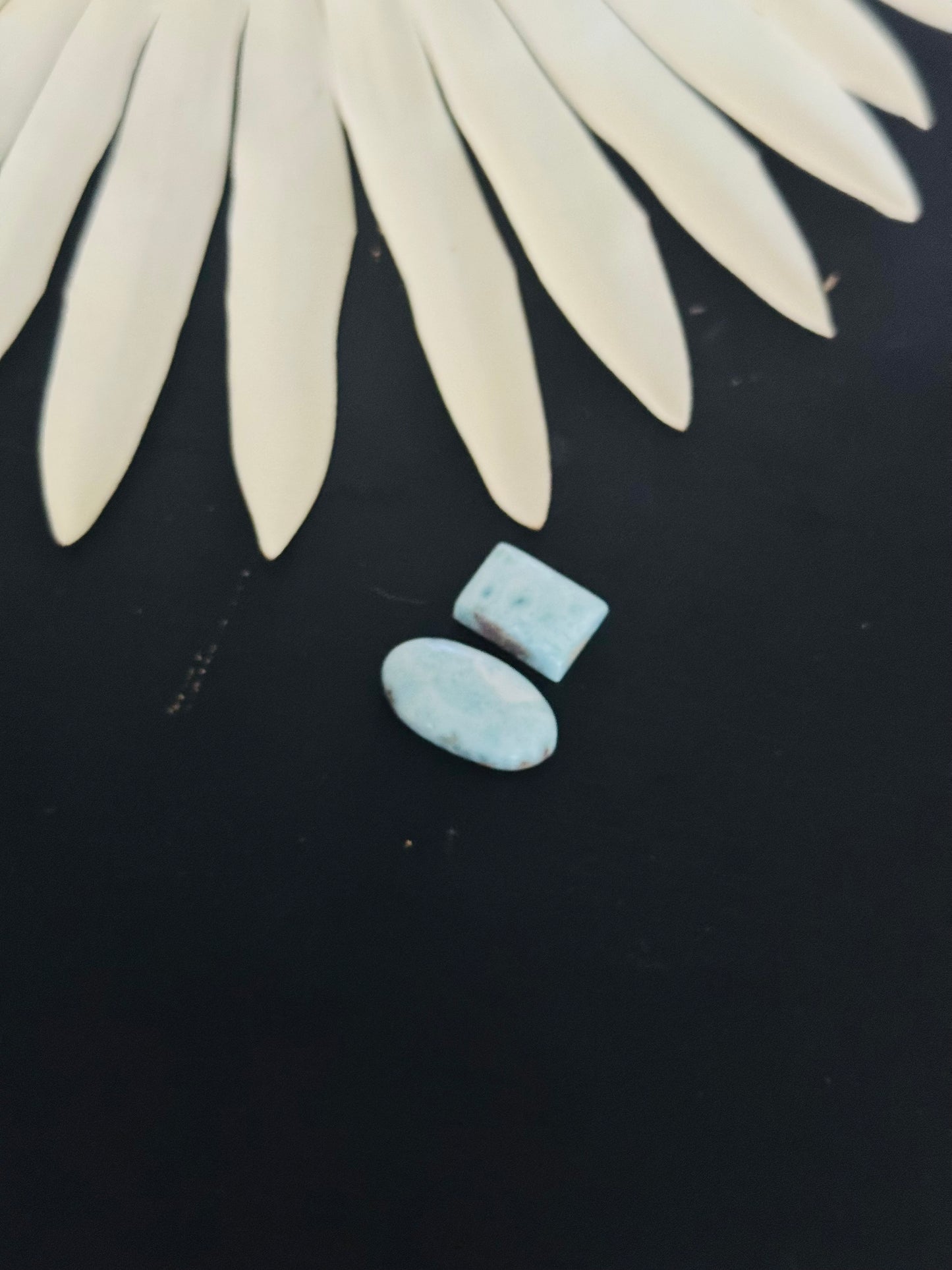 Larimar Cabs