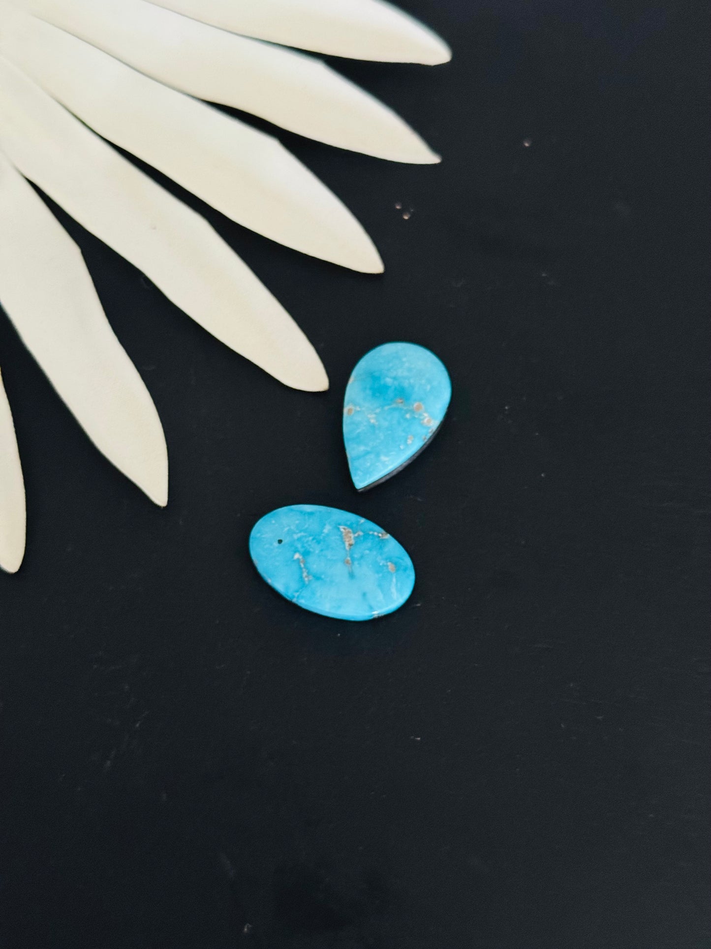 Blue Bird Turquoise Cabs