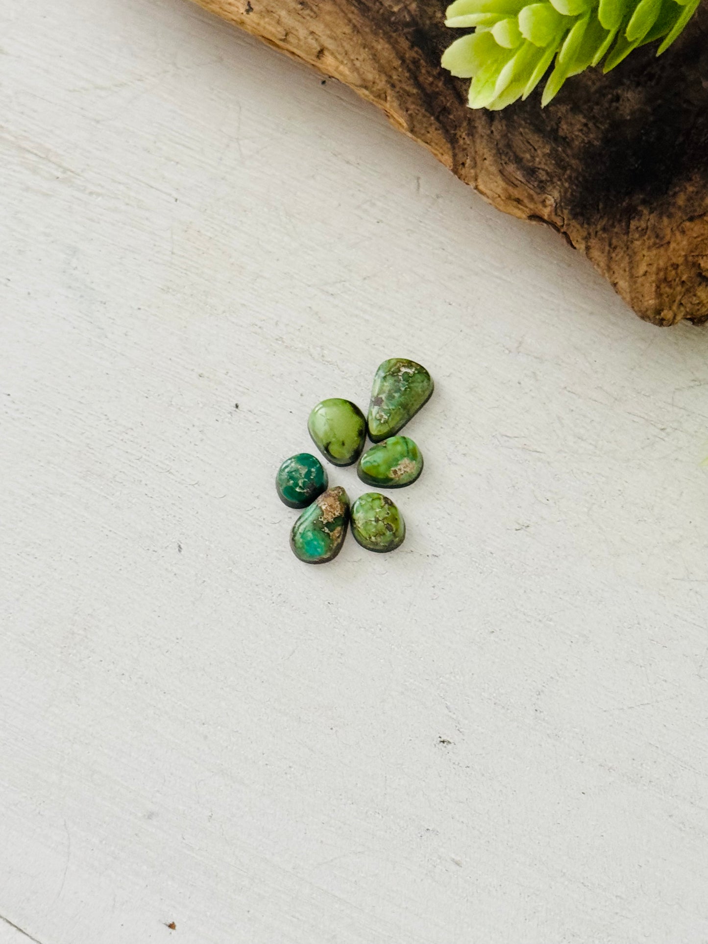 Natural Sonoran Gold Turquoise Cabs