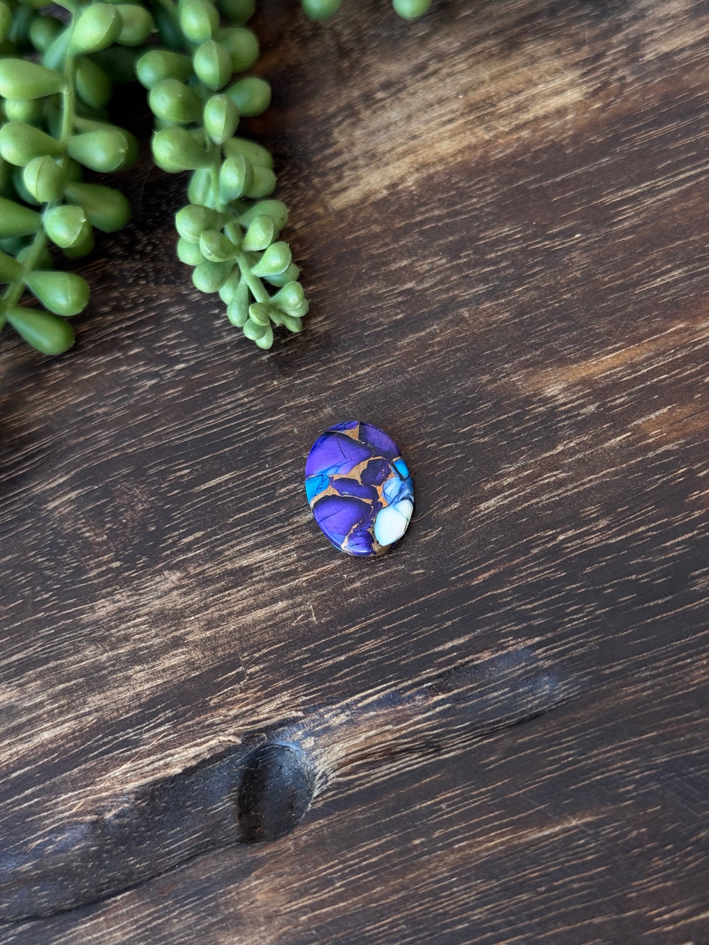 Purple Dahlia Composite Cabs