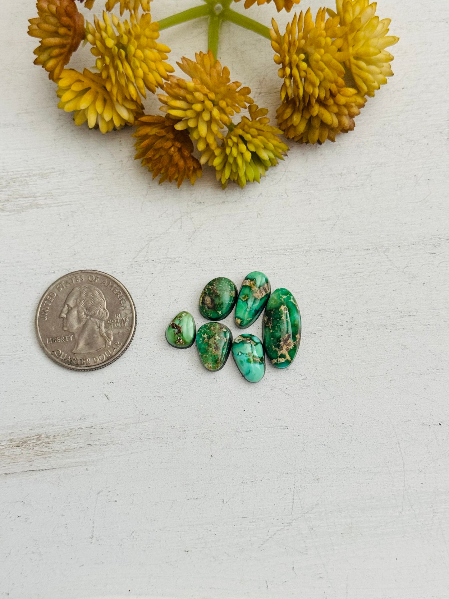 Natural Sonoran Gold Turquoise Cabs