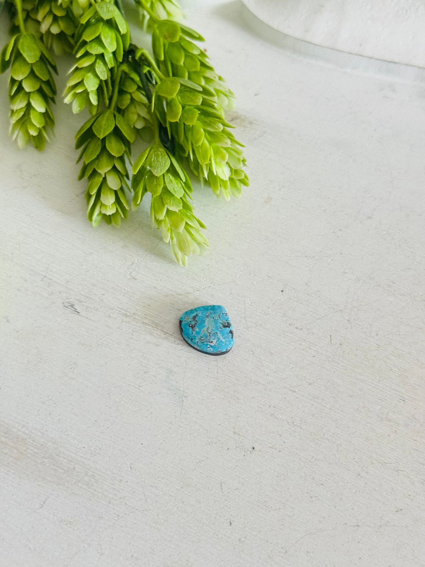 Blue Bird Turquoise Cab