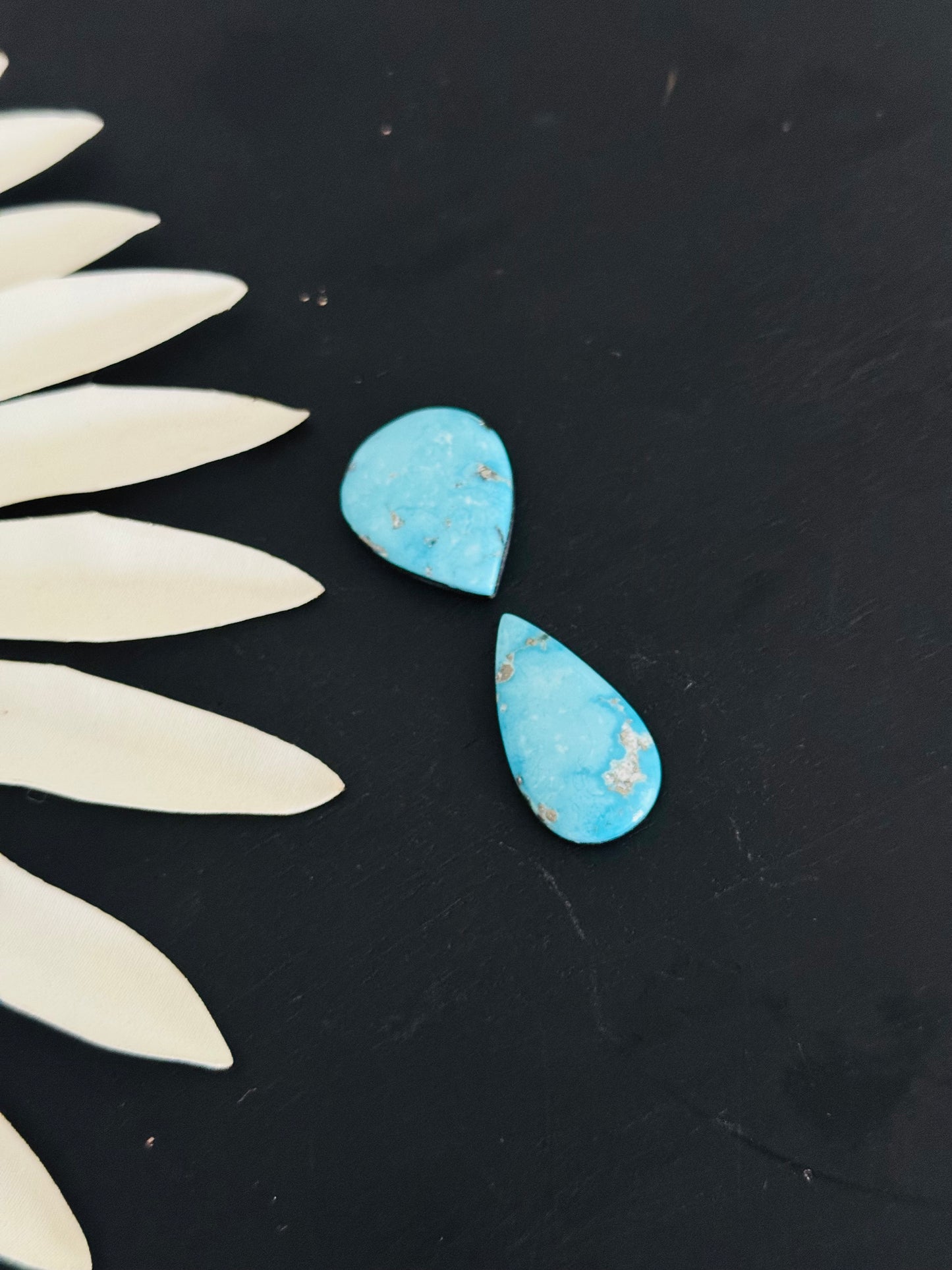 Blue Bird Turquoise Cabs