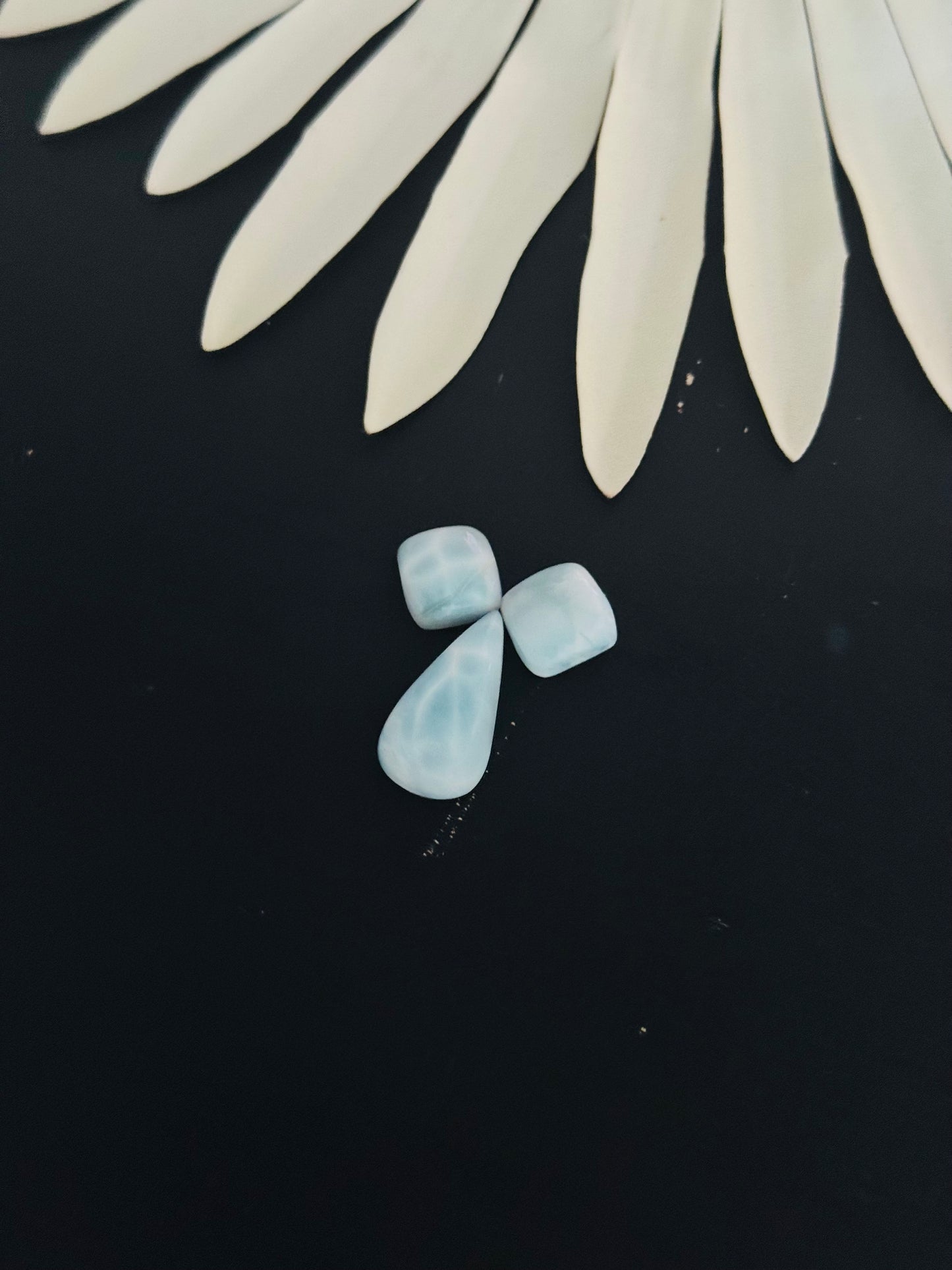 Larimar Cabs