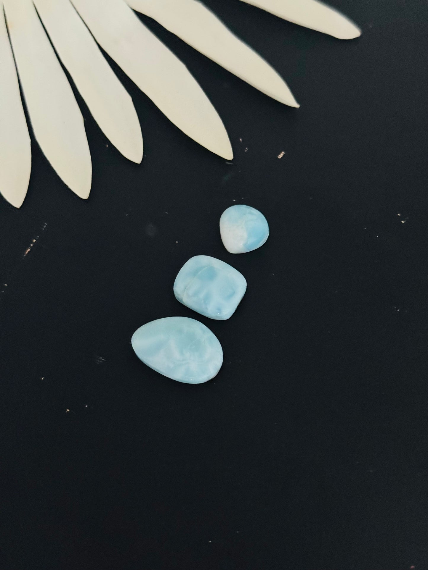 Larimar Cabs