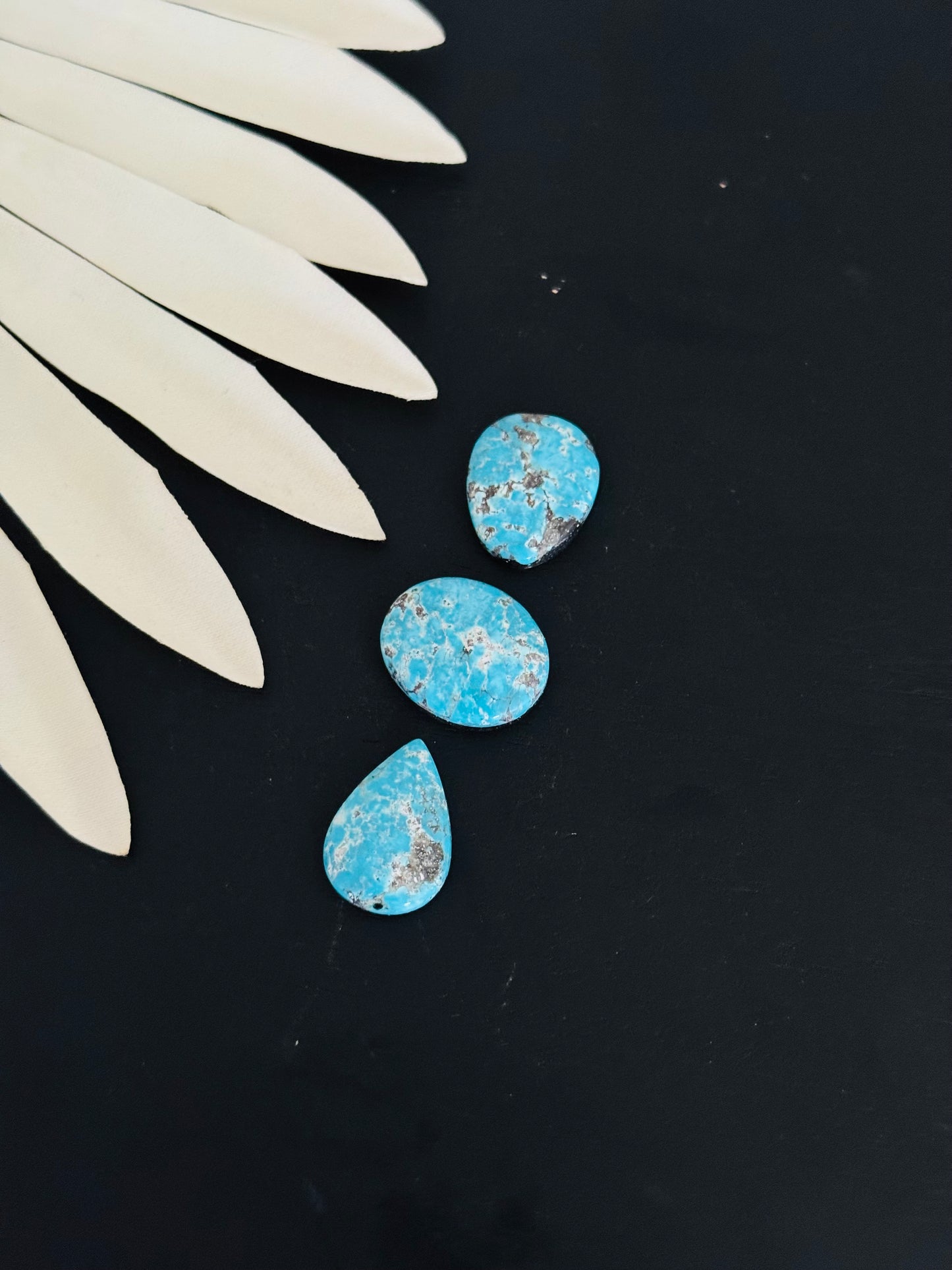 Blue Bird Turquoise Cabs