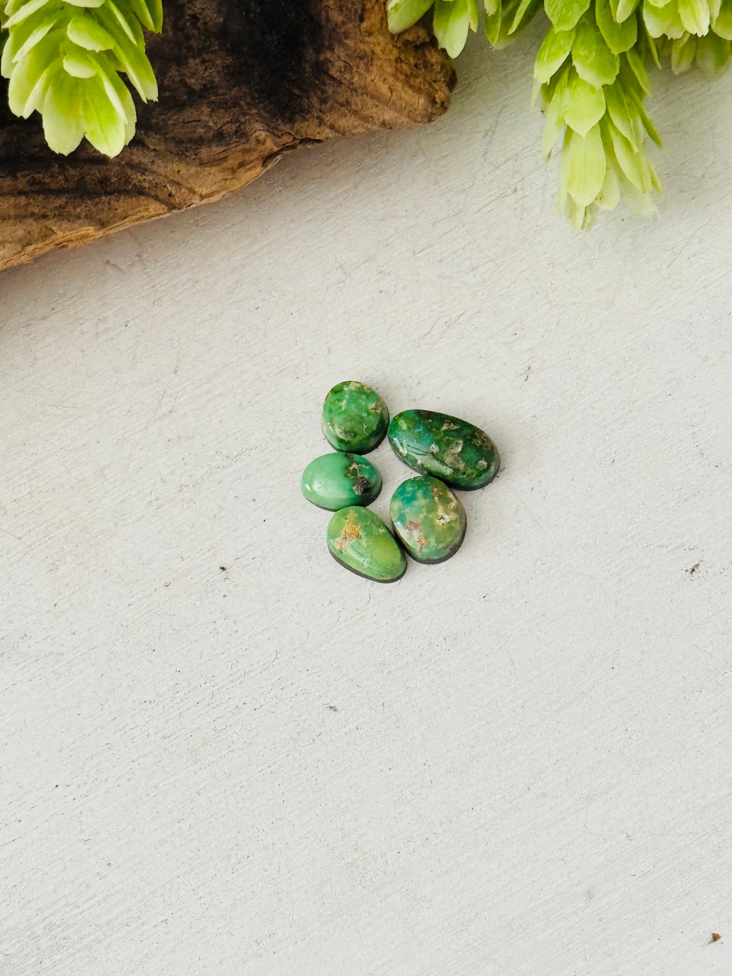 Natural Sonoran Gold Turquoise Cabs