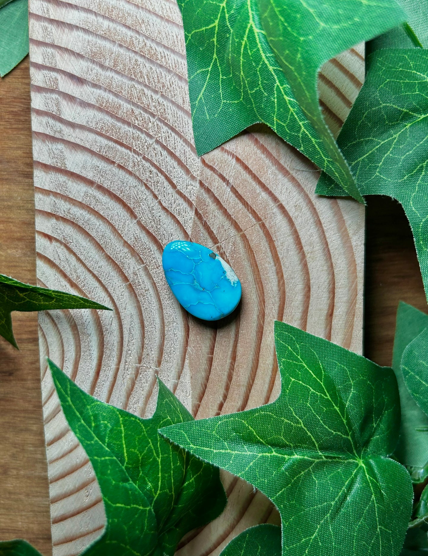 Blue Bird Turquoise Cabs
