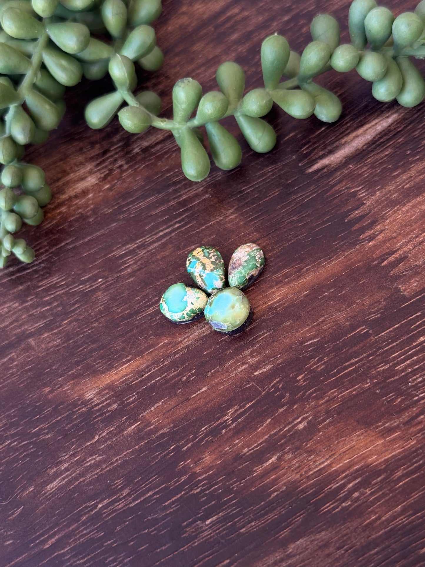 Sonoran Mountain Turquoise Cabs