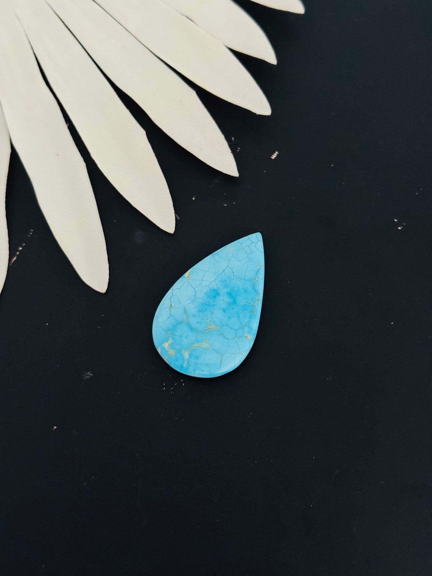 Blue Bird Turquoise Cabs