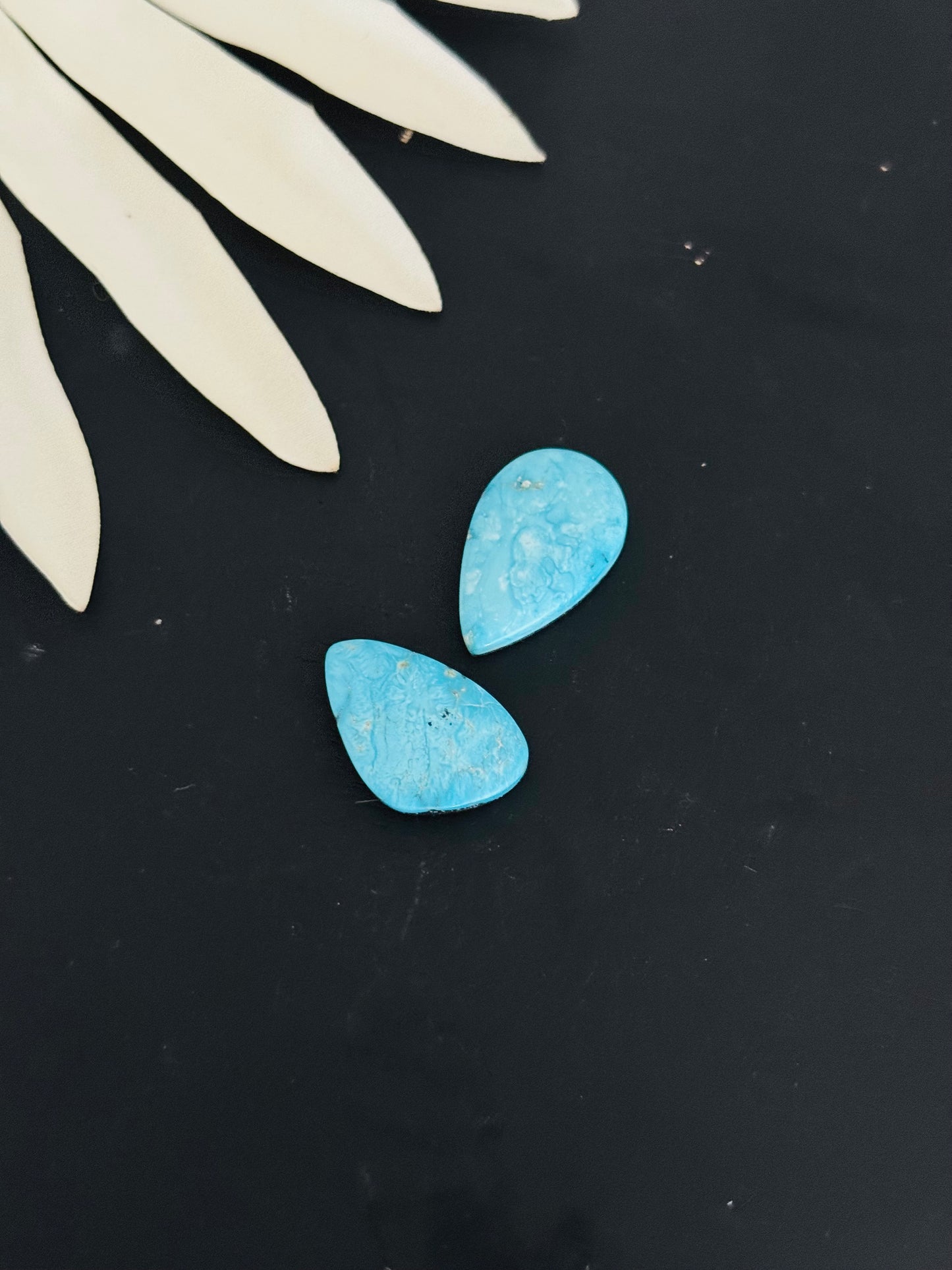 Blue Bird Turquoise Cabs