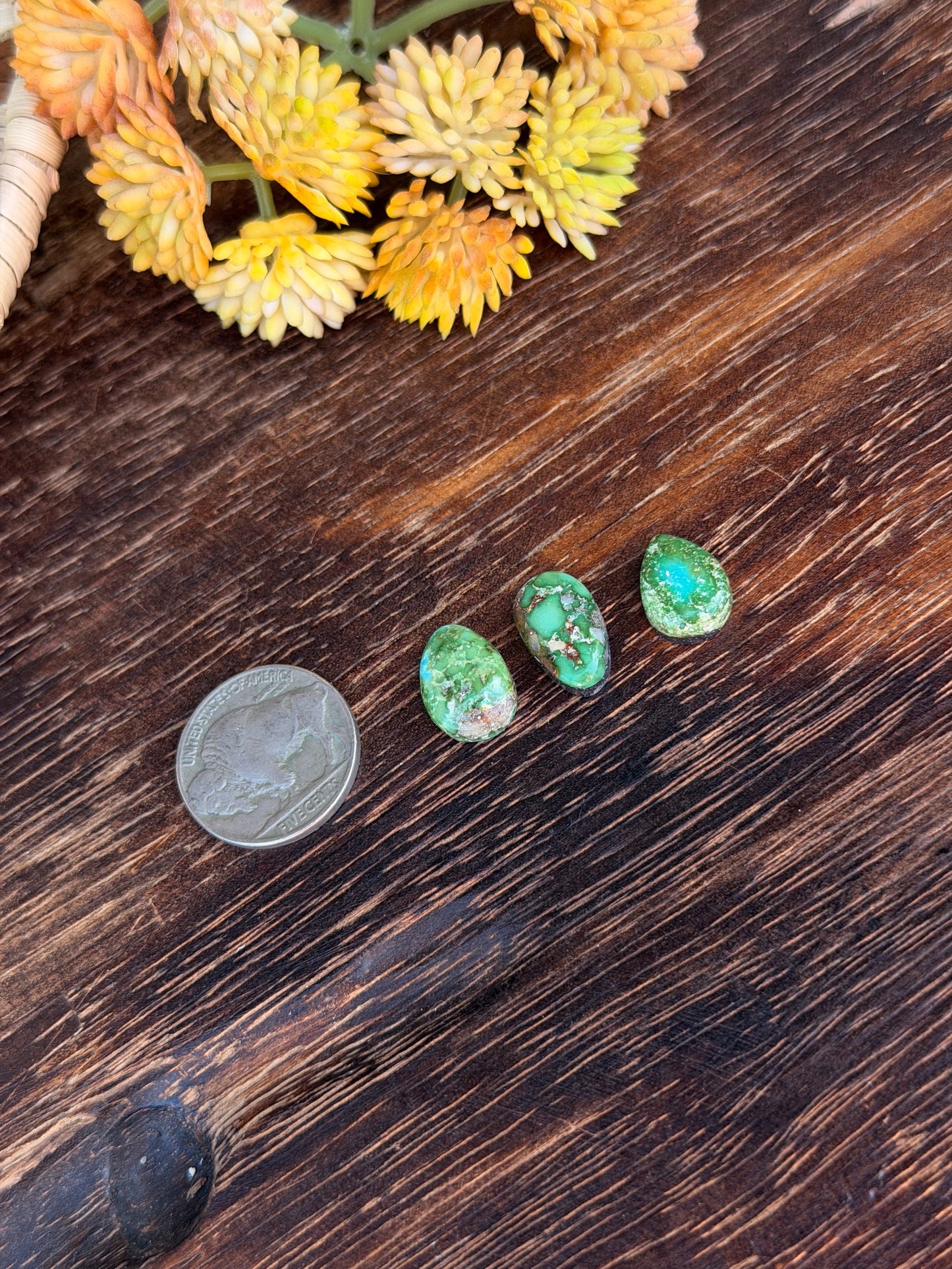 Sonoran Mountain Turquoise Cabs