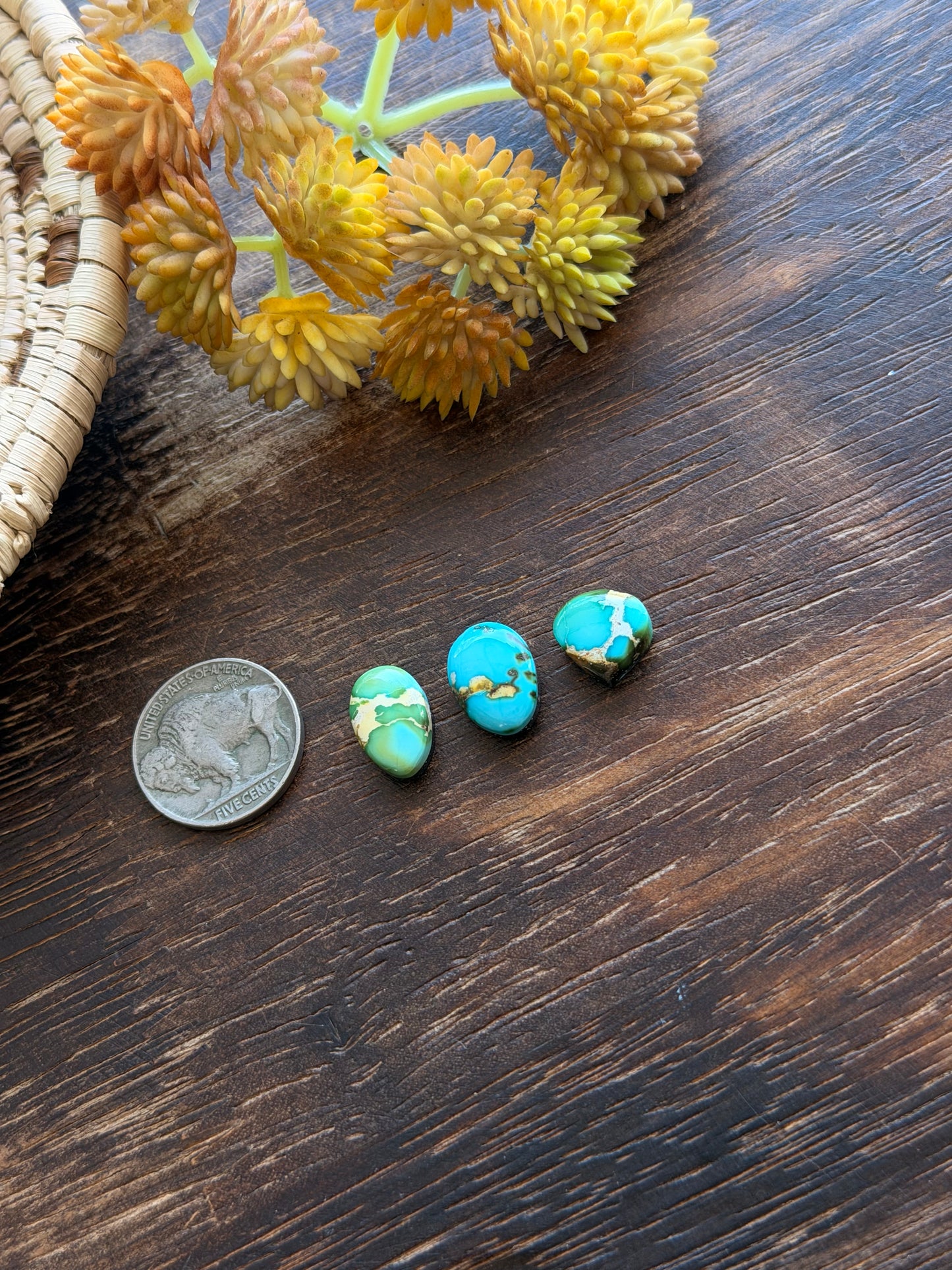Sonoran Mountain Turquoise Cabs