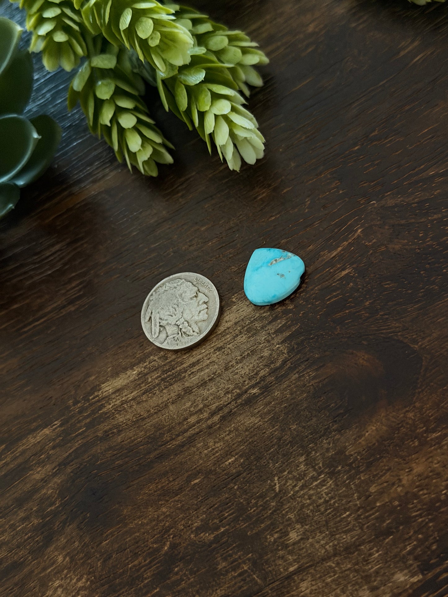 Blue Bird Turquoise Cab