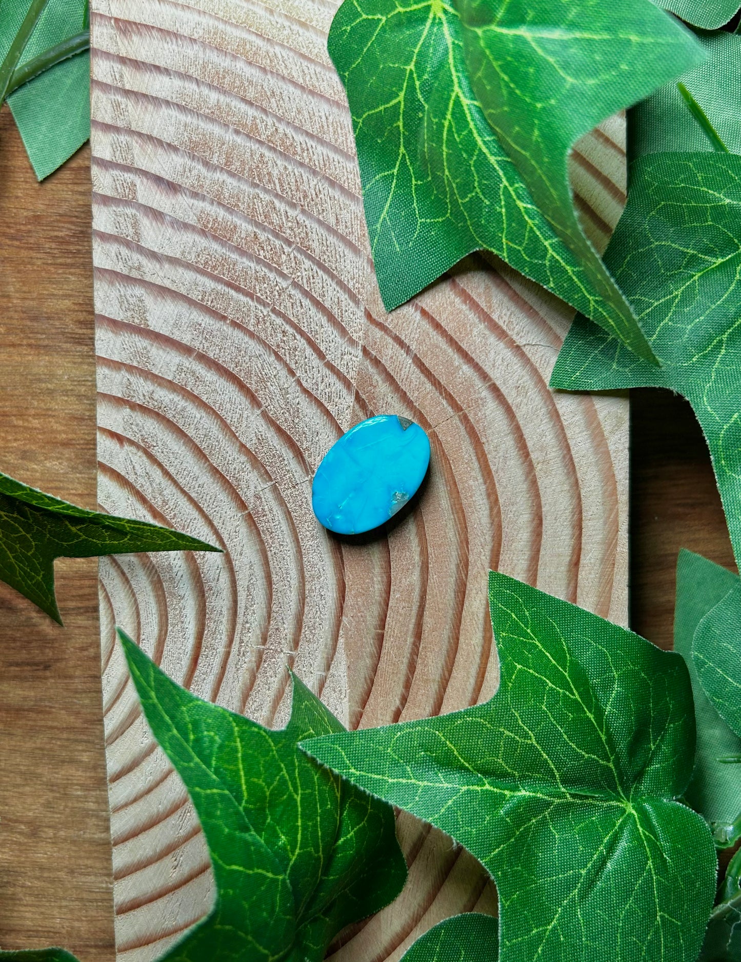 Blue Bird Turquoise Cabs