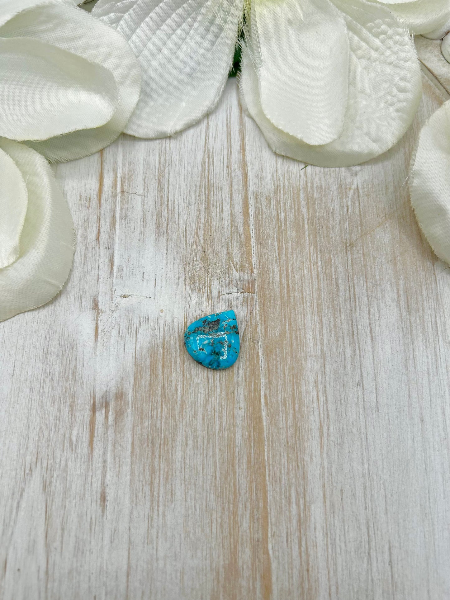 Blue Ridge Turquoise Cab