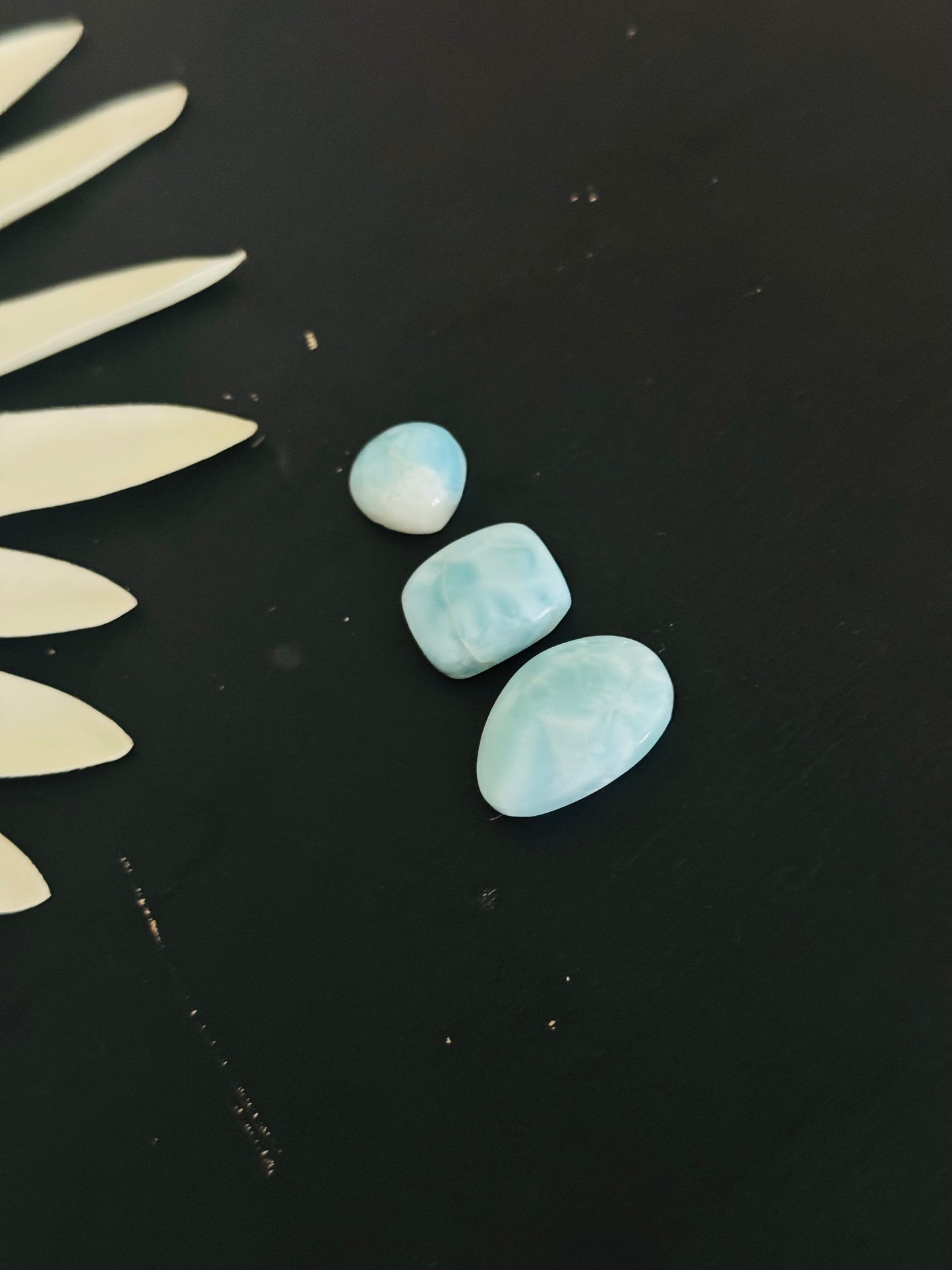 Larimar Cabs