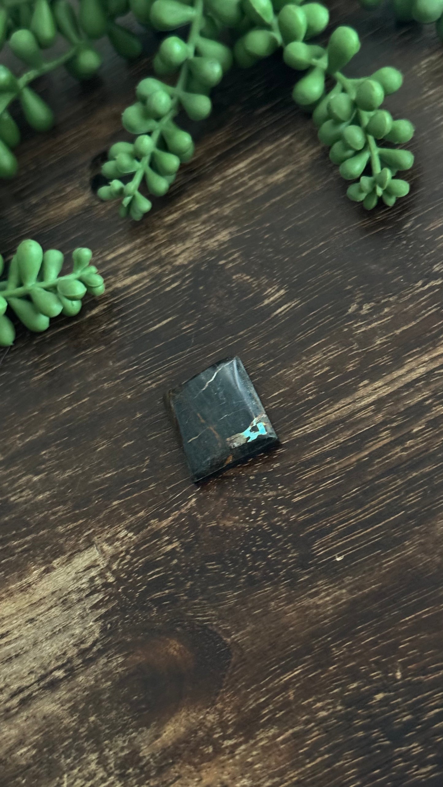 Black Jack Turquoise Cab