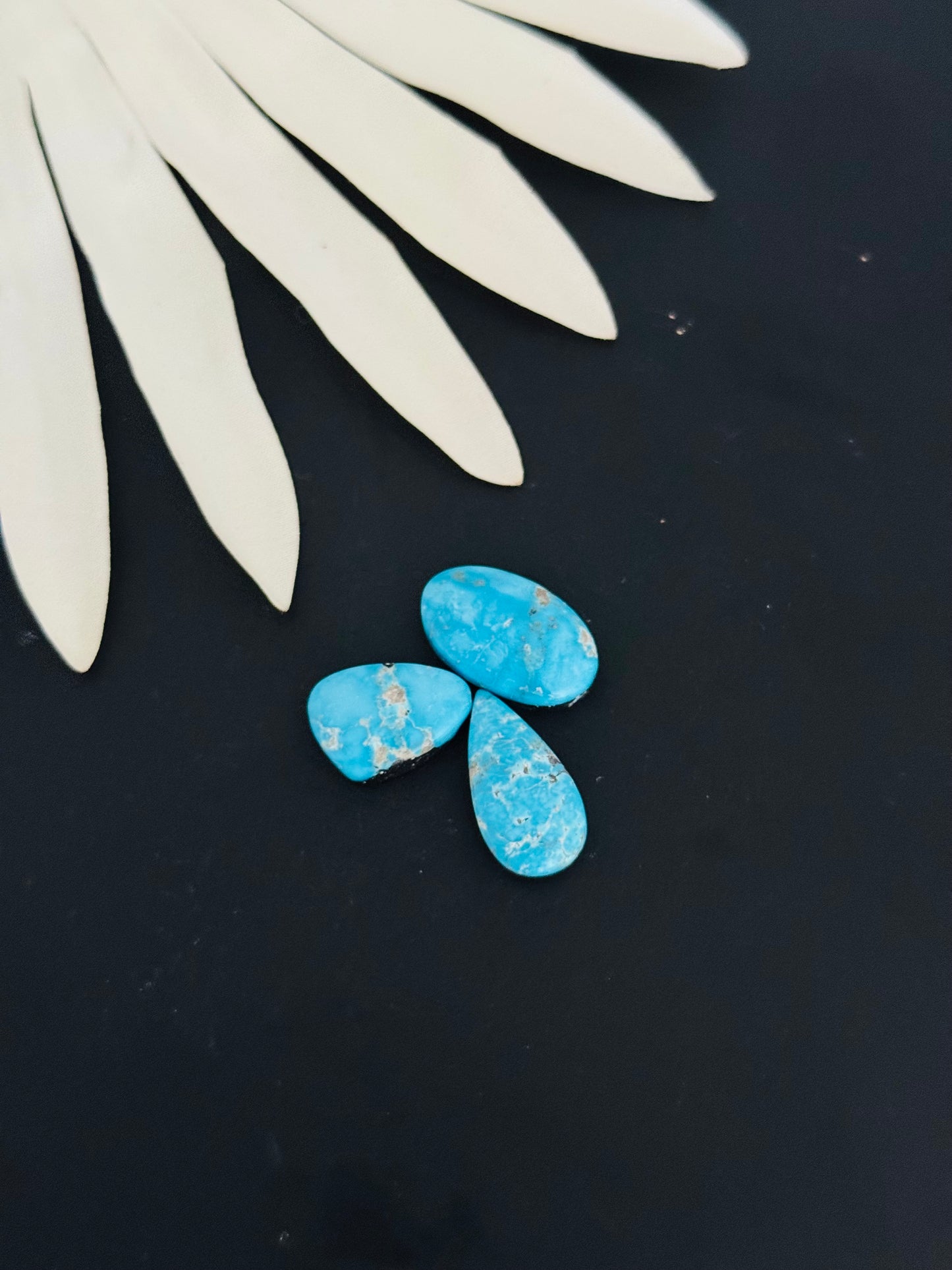 Blue Bird Turquoise Cabs
