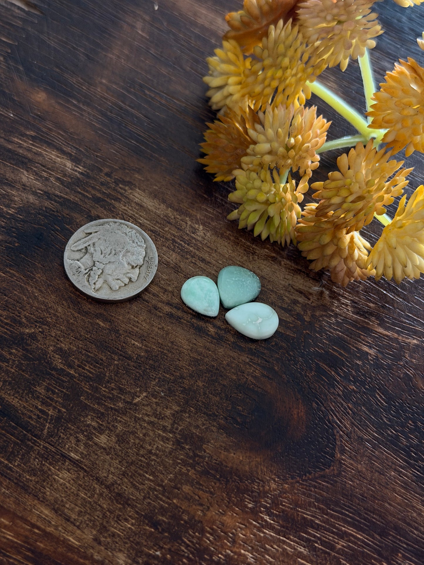 Paloma Variscite Cabs