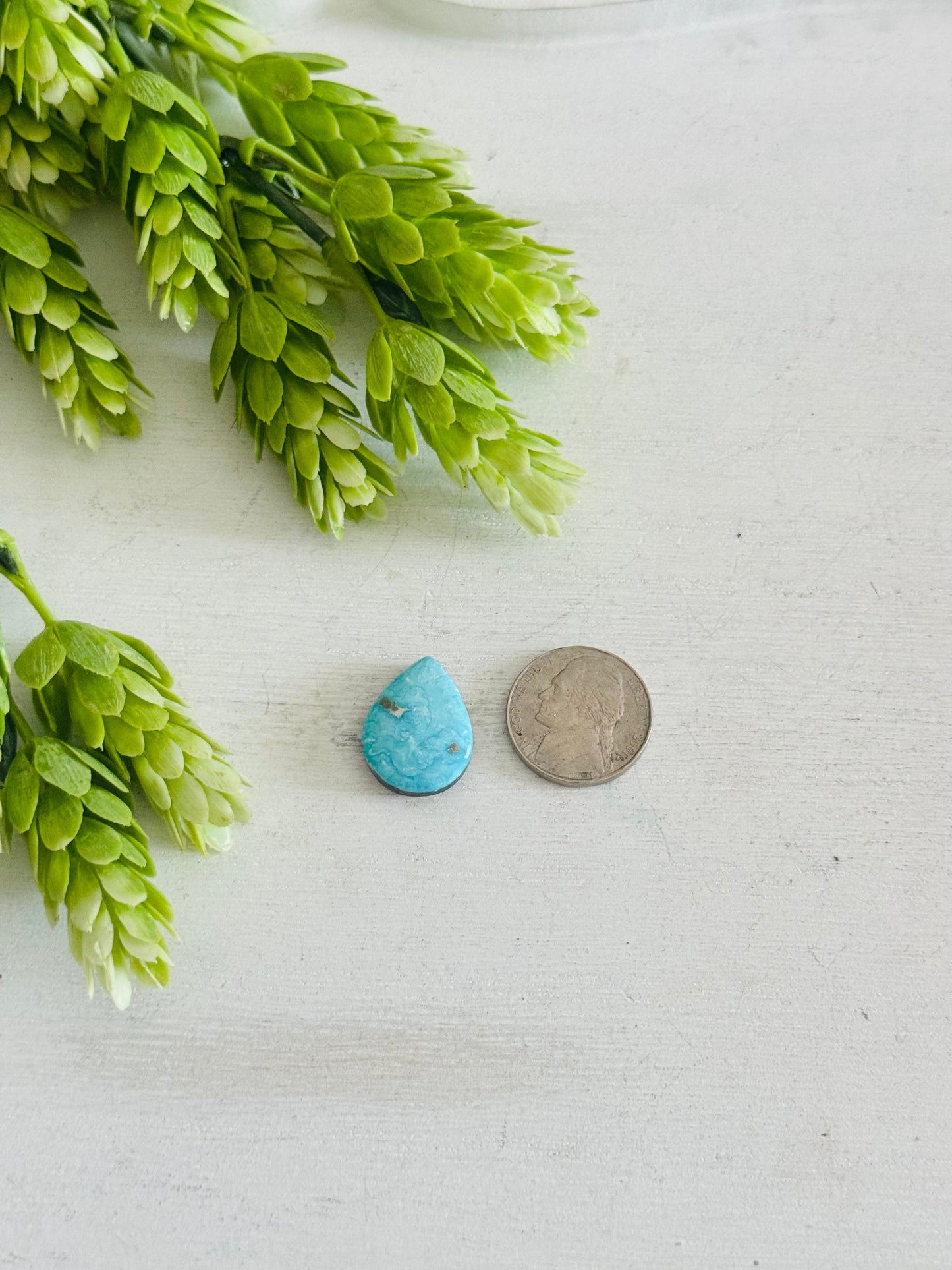 Blue Bird Turquoise Cab