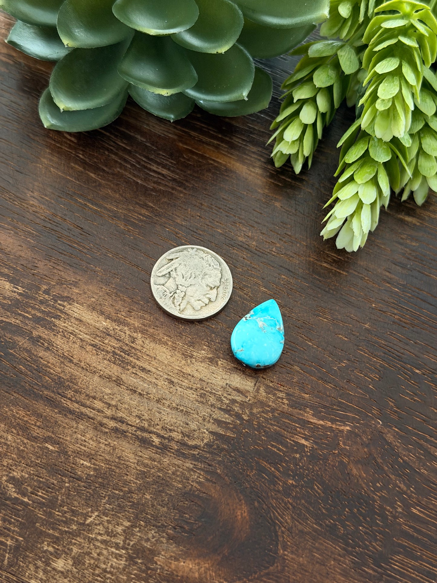 Blue Bird Turquoise Cab