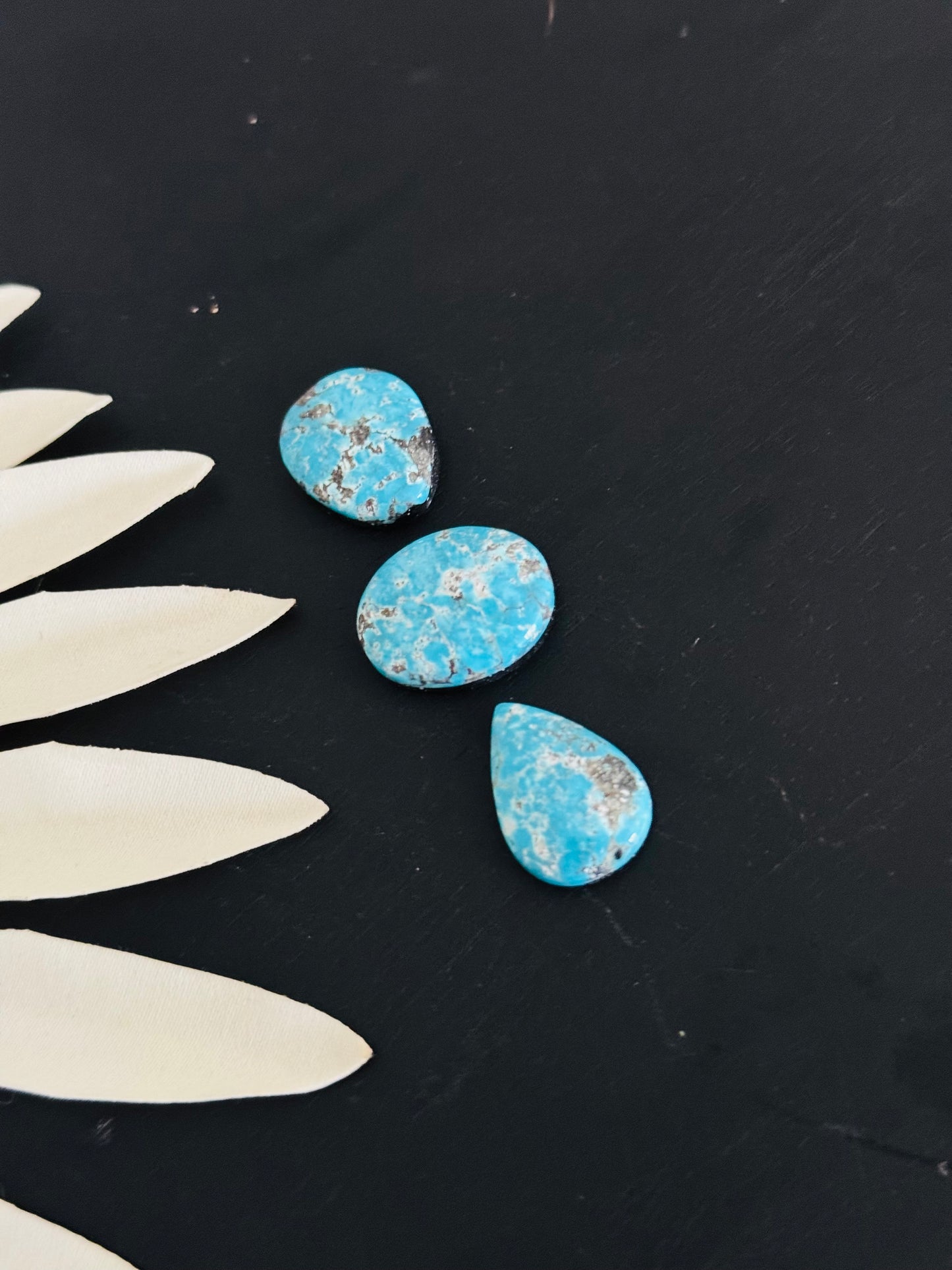 Blue Bird Turquoise Cabs