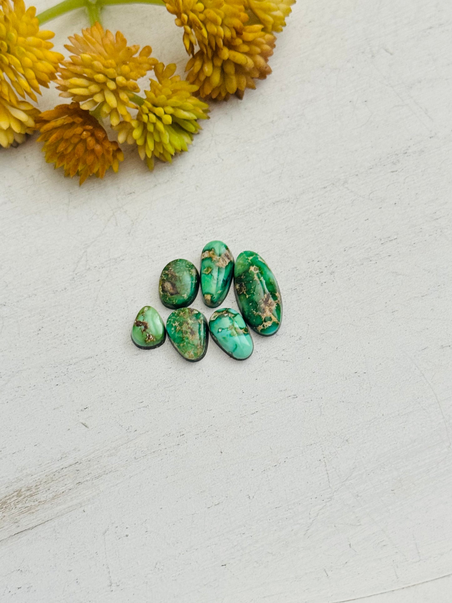 Natural Sonoran Gold Turquoise Cabs