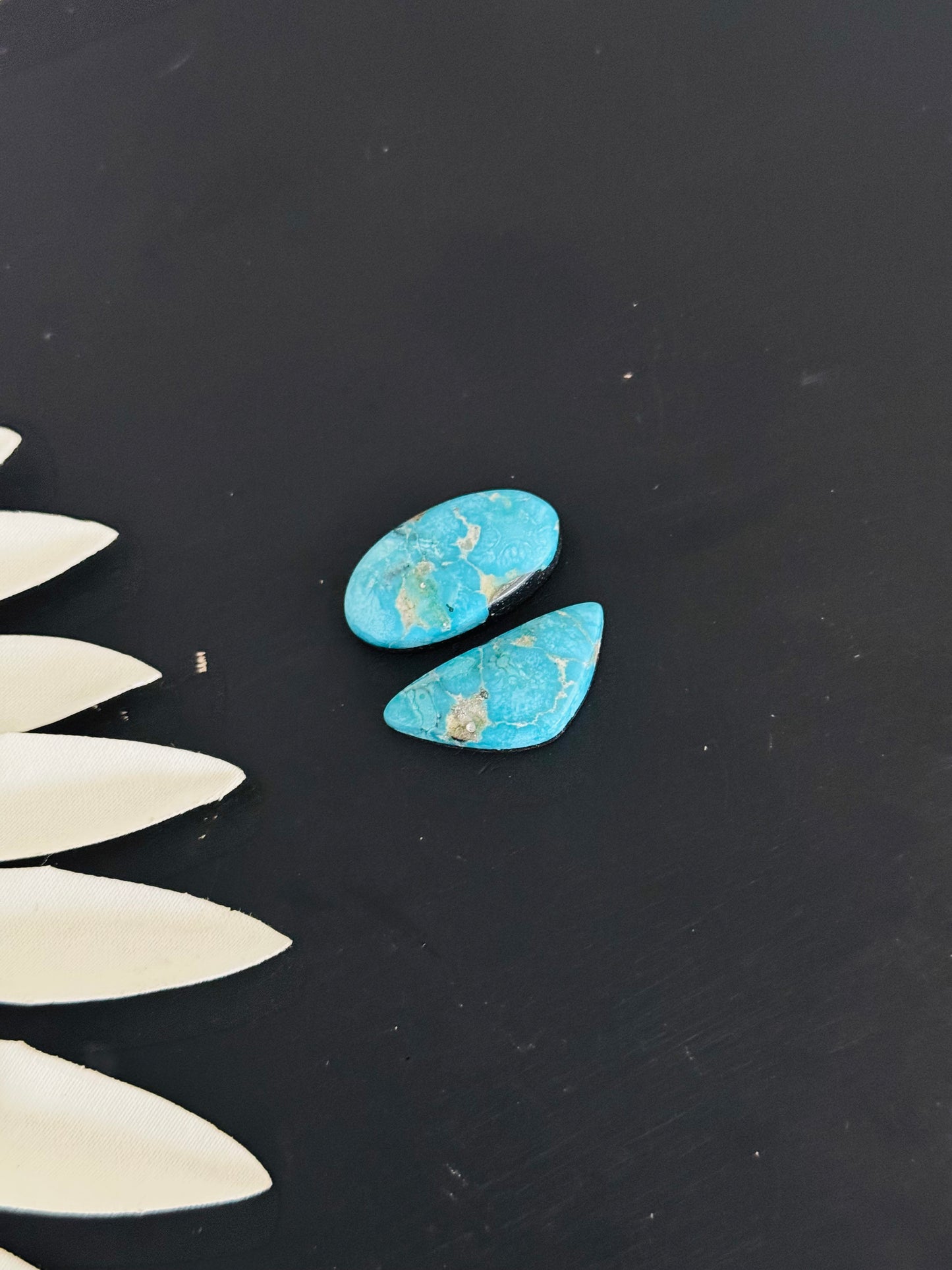 Blue Bird Turquoise Cabs