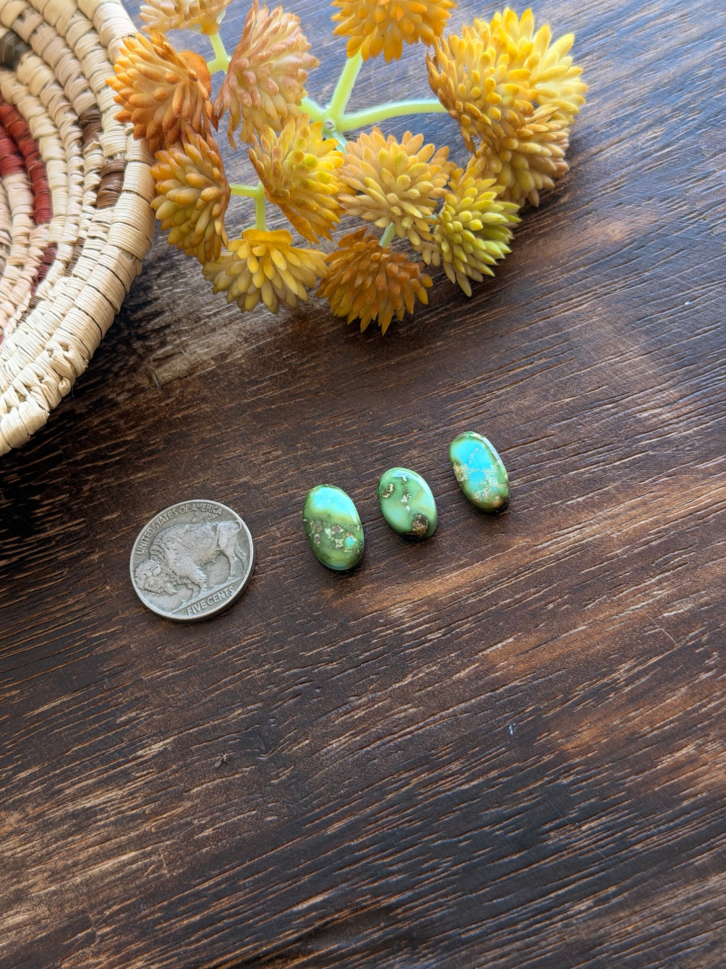 Sonoran Mountain Turquoise Cabs