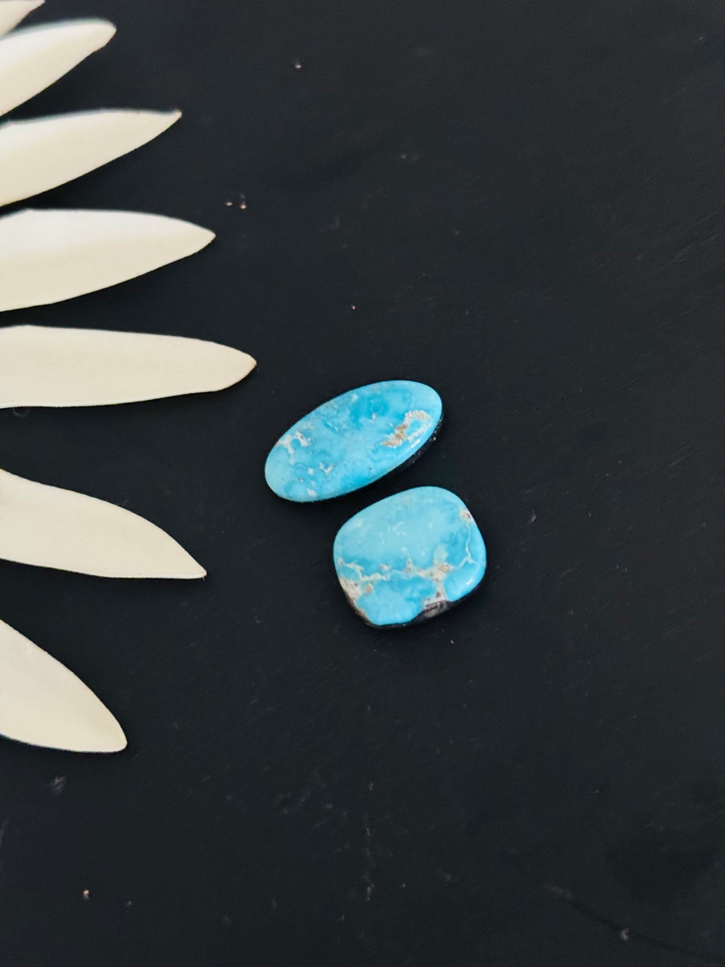 Blue Bird Turquoise Cabs