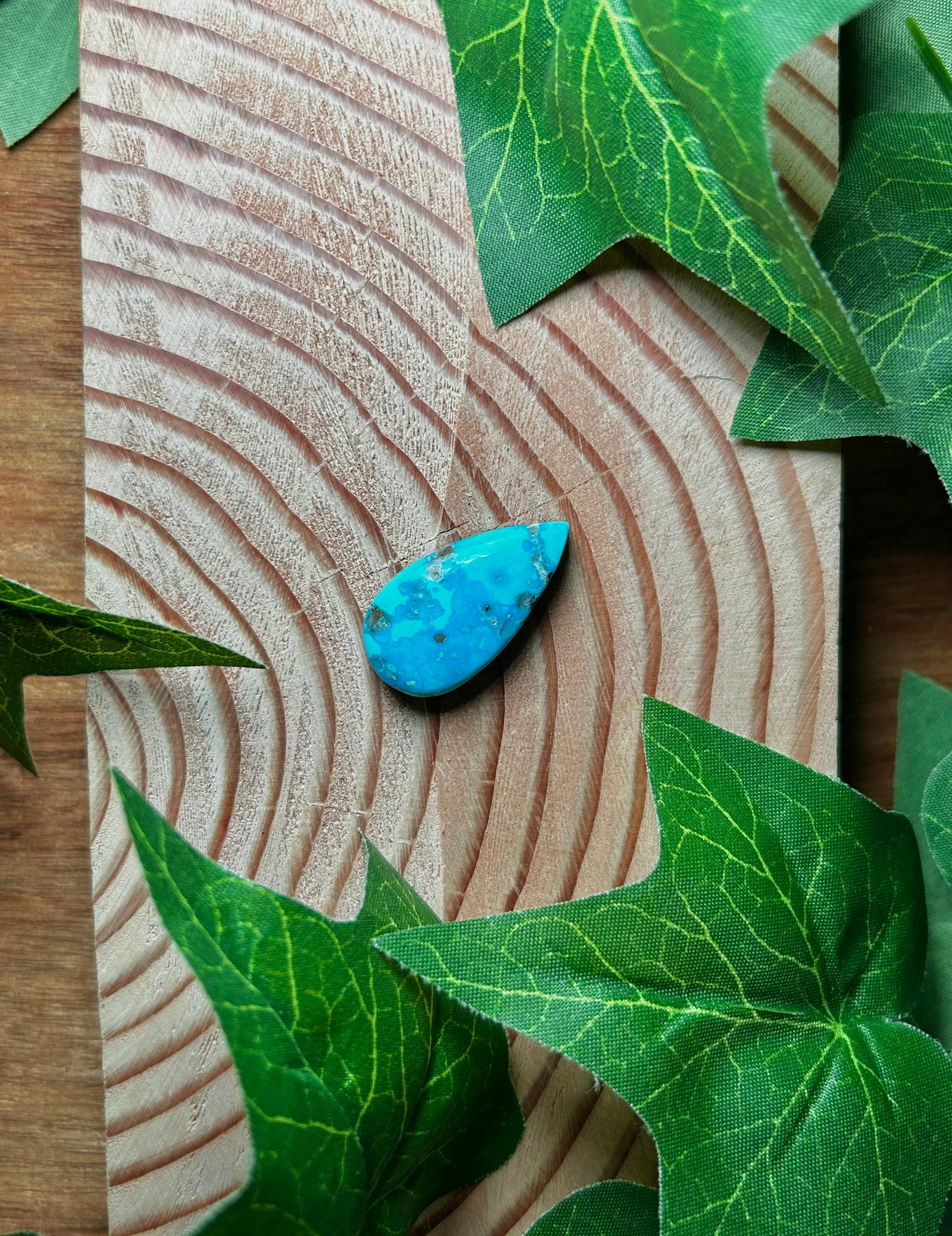 Blue Bird Turquoise Cabs