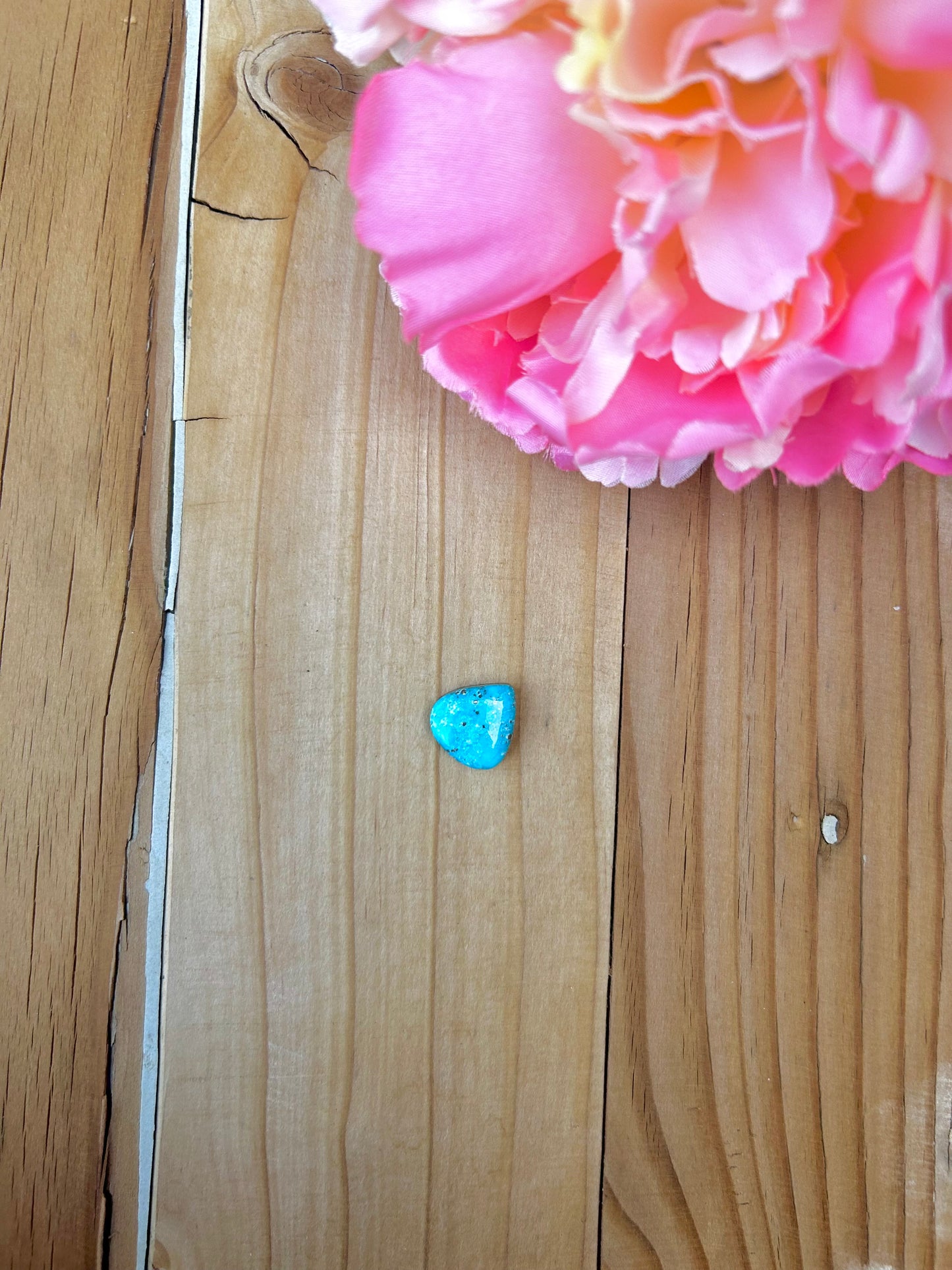 Blue Bird Turquoise Cabs