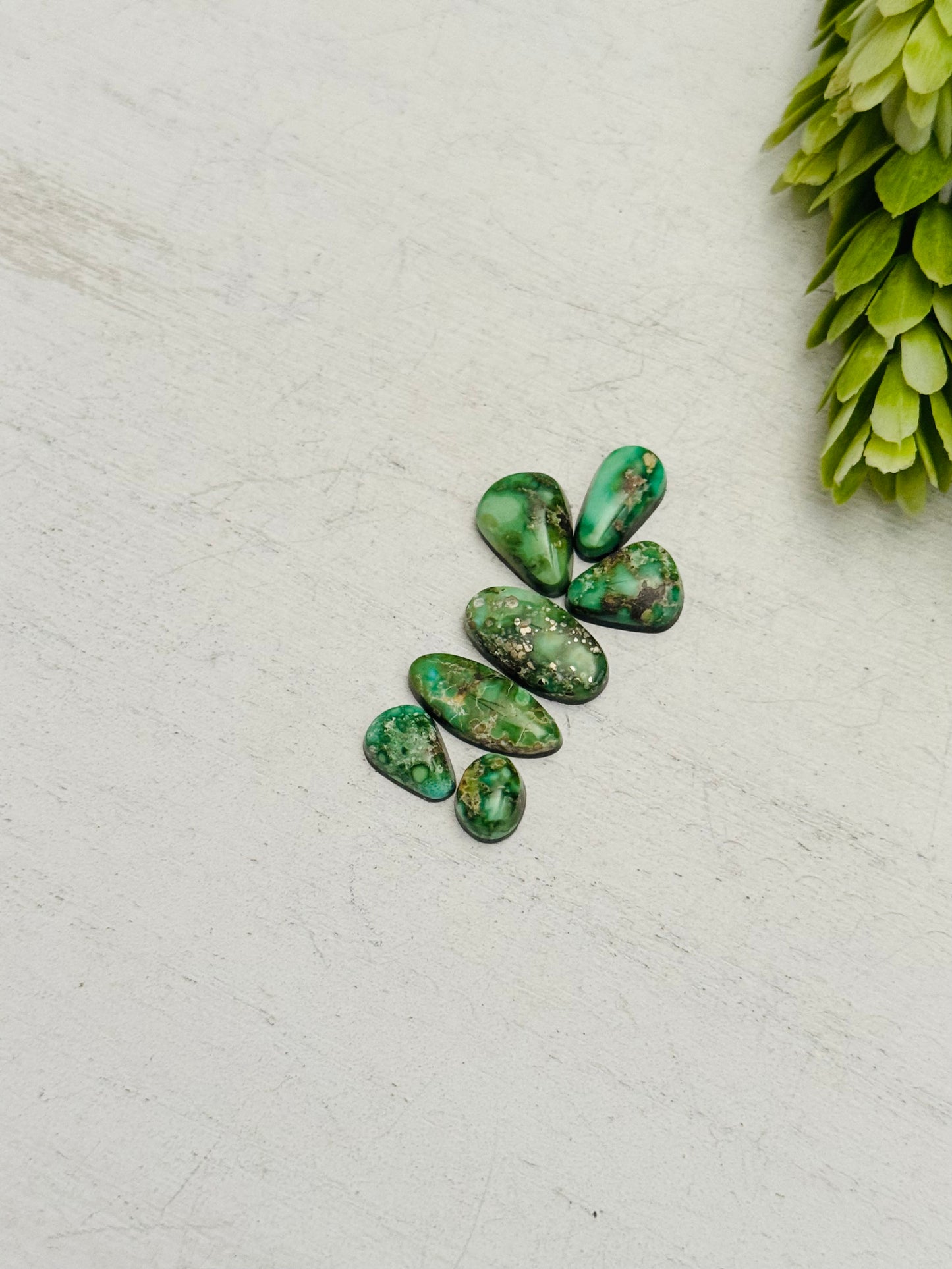 Natural Sonoran Gold Turquoise Cabs