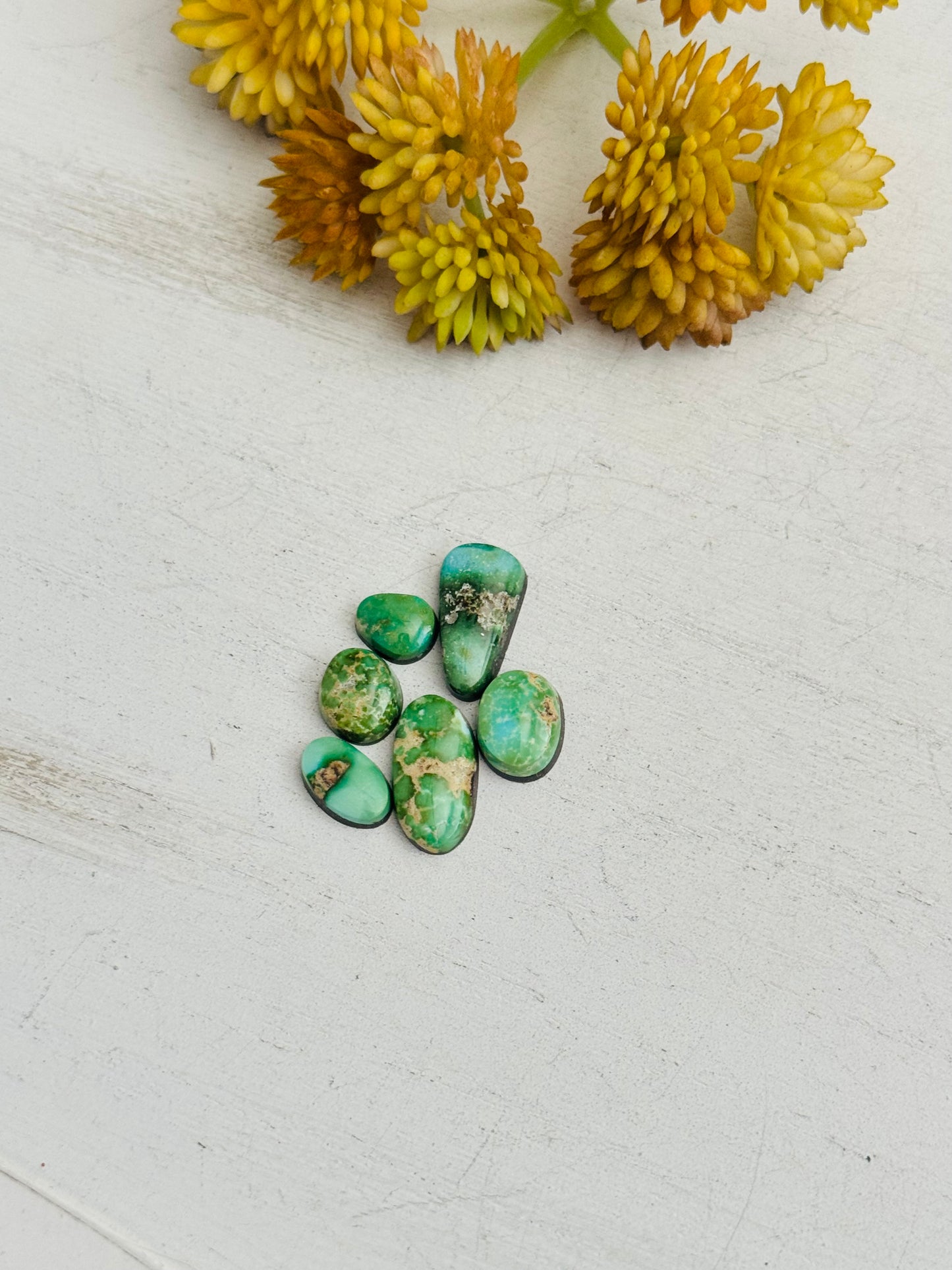 Natural Sonoran Gold Turquoise Cabs
