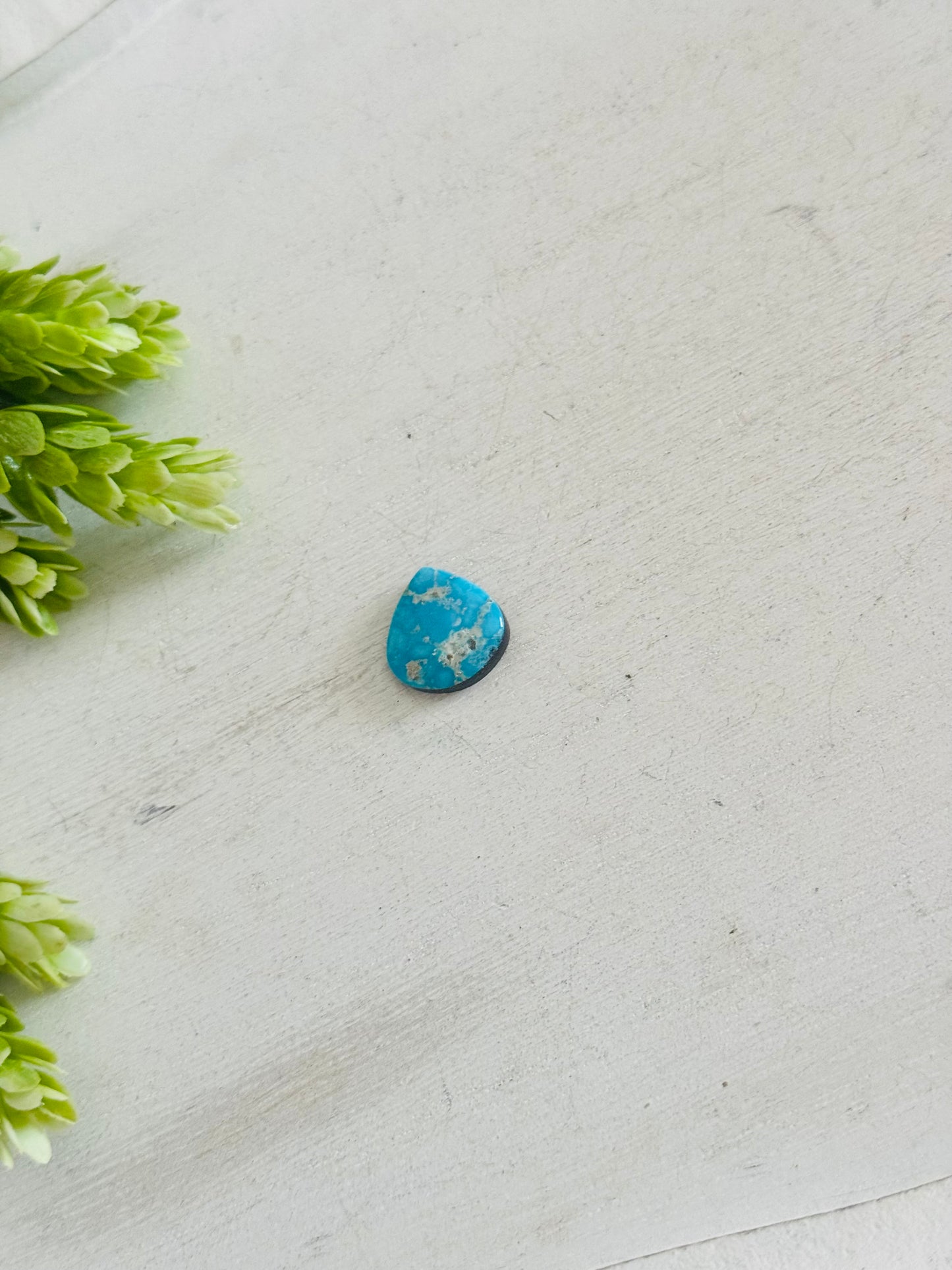 Blue Bird Turquoise Cab