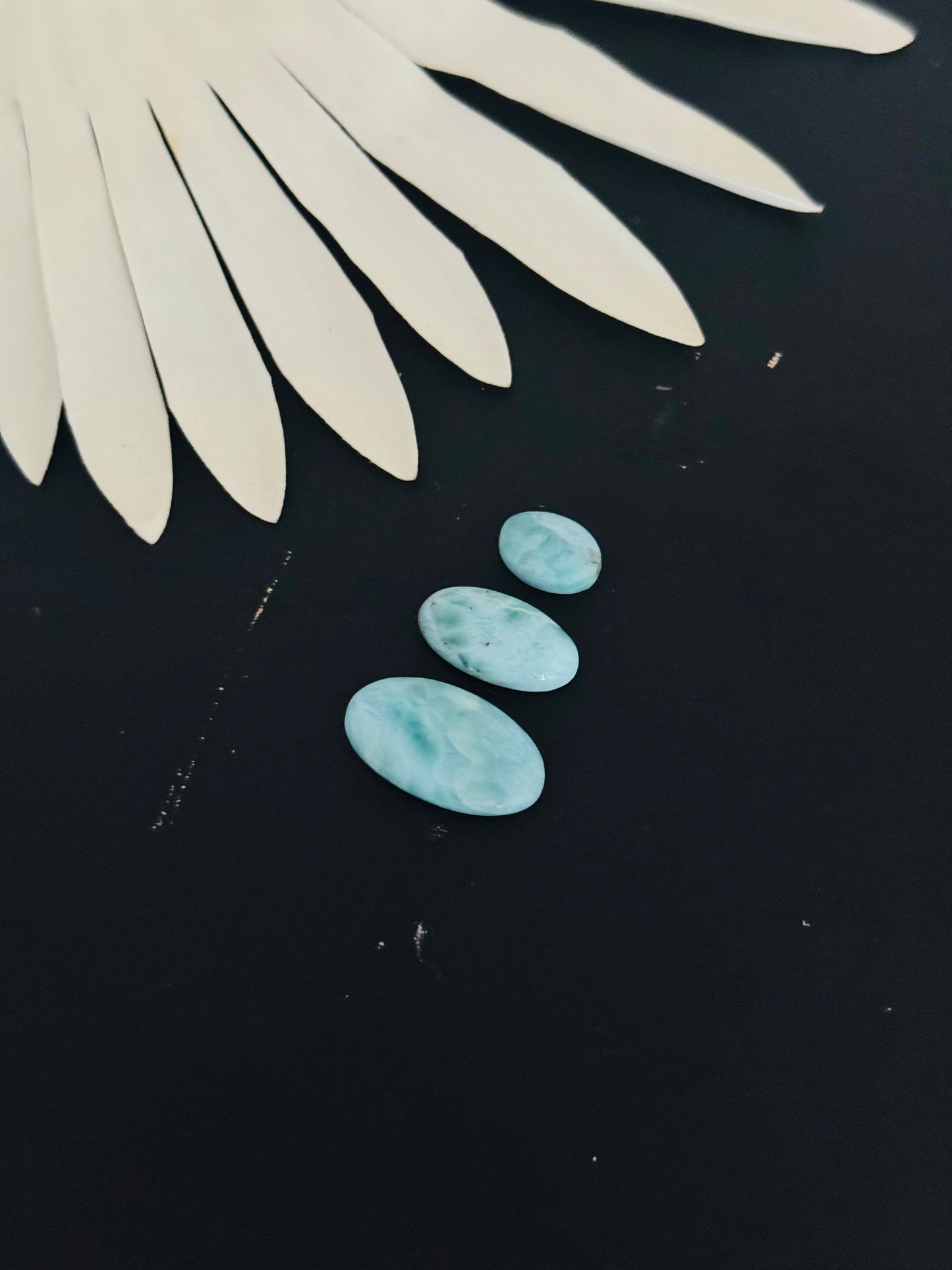 Larimar Cabs