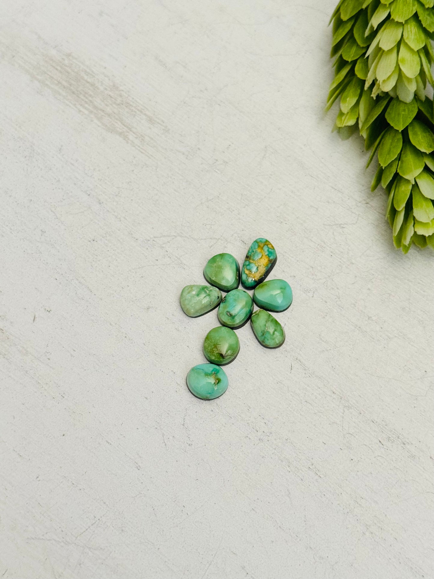 Natural Sonoran Gold Turquoise Cabs