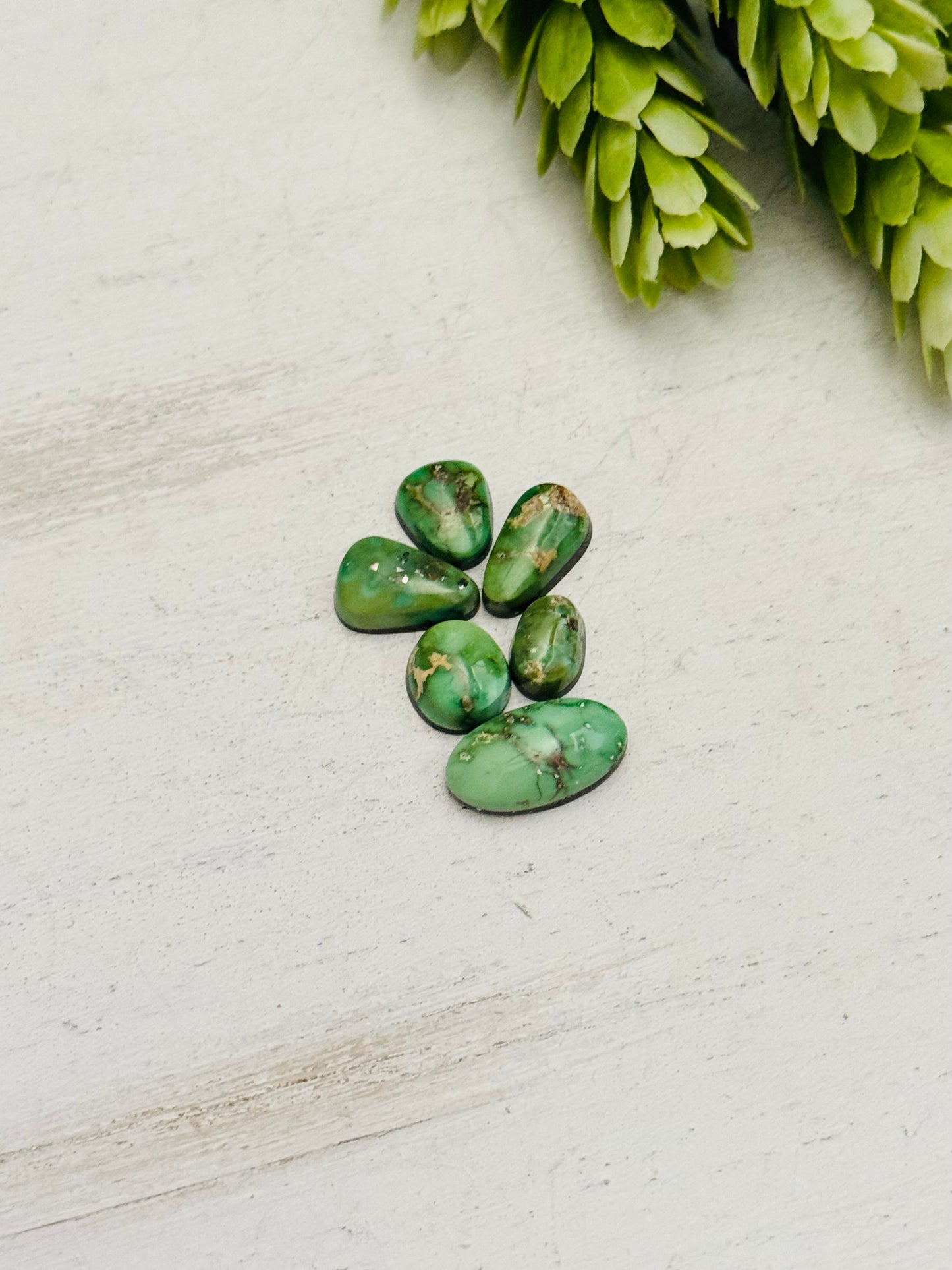Natural Sonoran Gold Turquoise Cabs