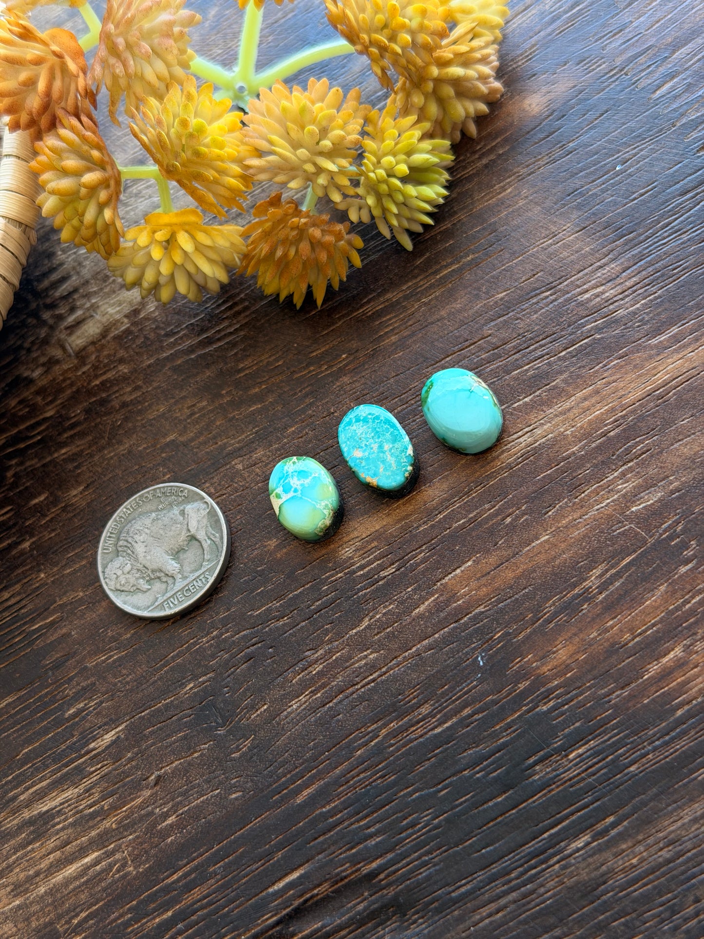 Sonoran Mountain Turquoise Cabs