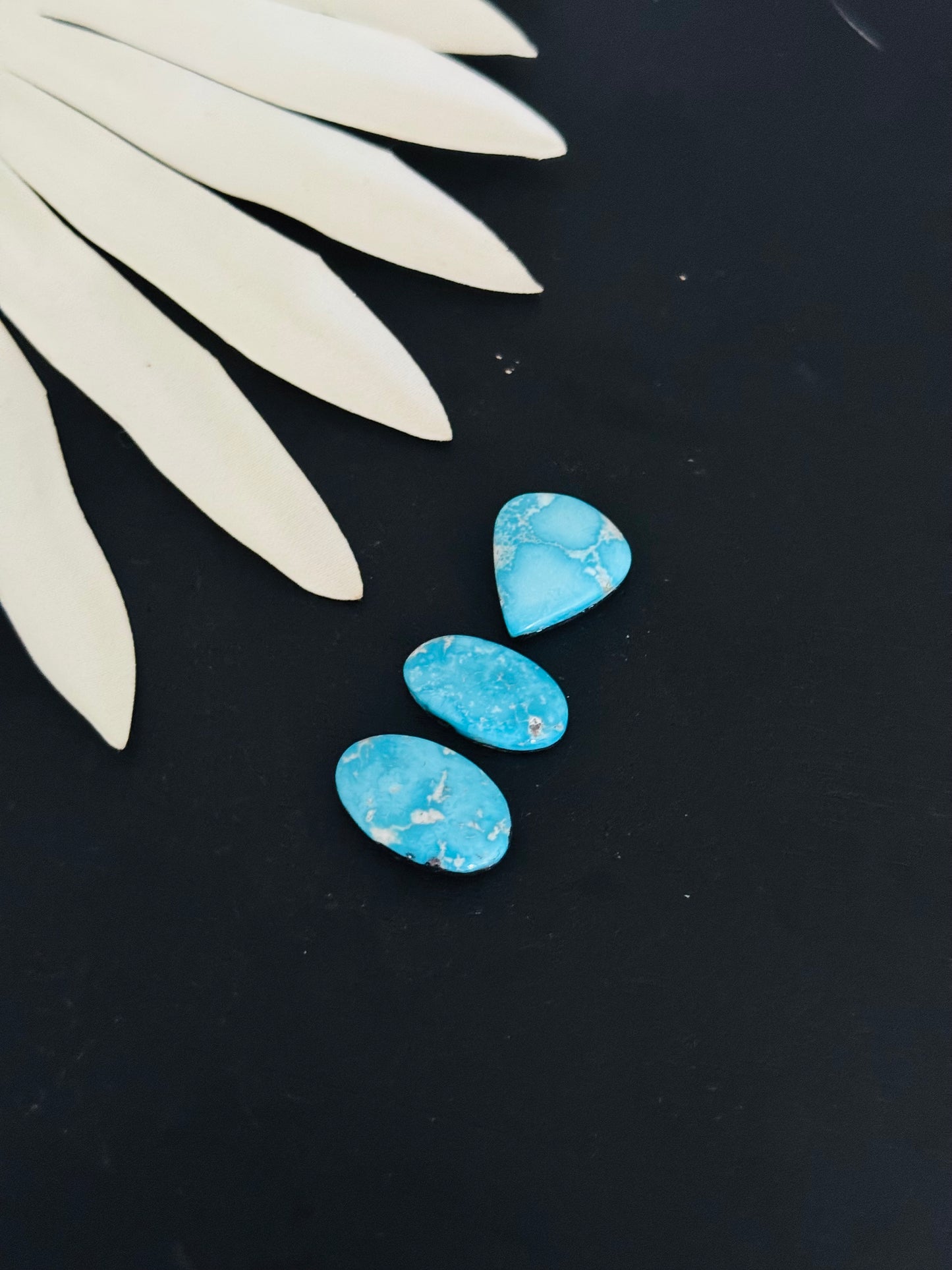 Blue Bird Turquoise Cabs