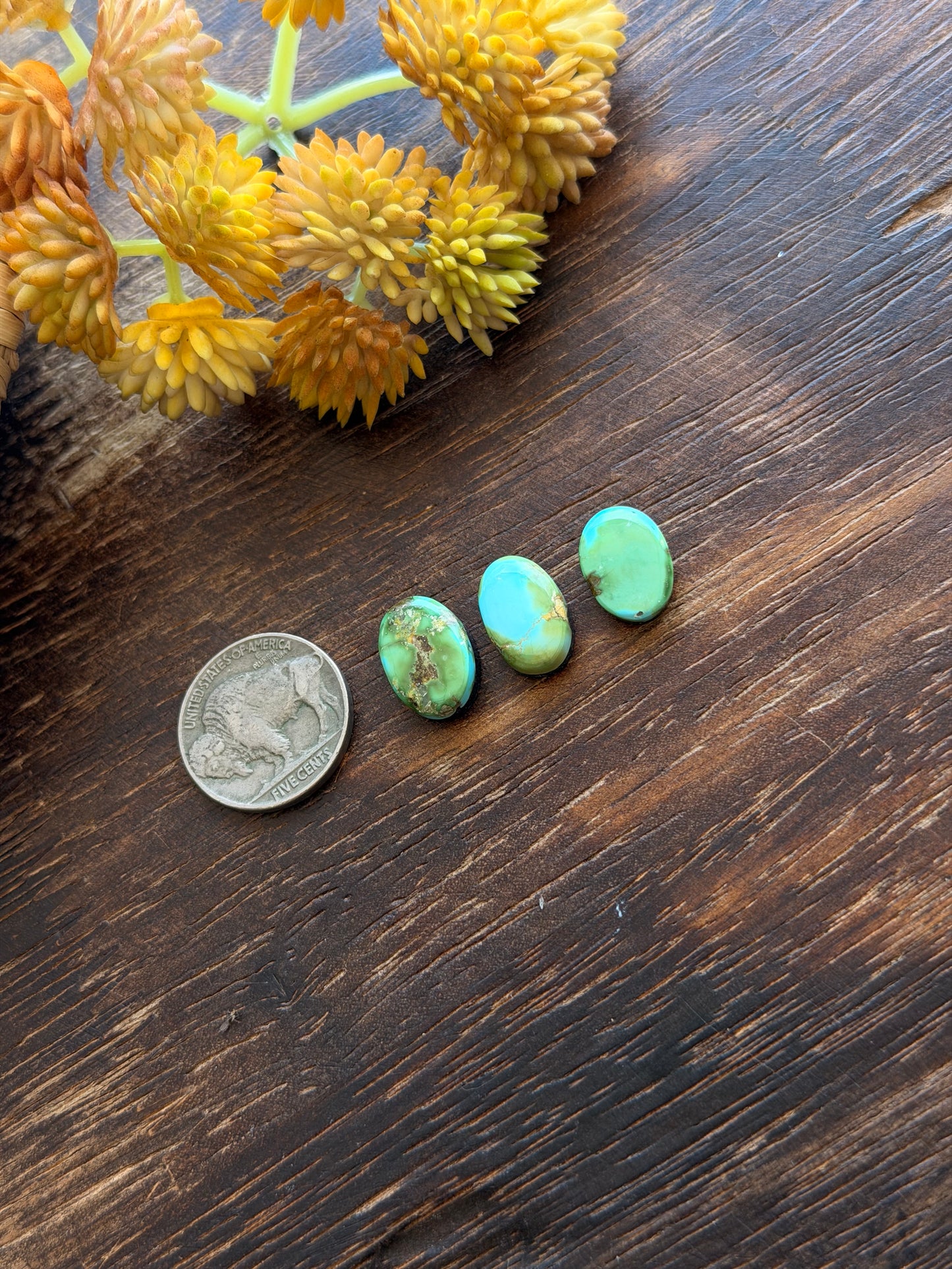 Sonoran Mountain Turquoise Cabs