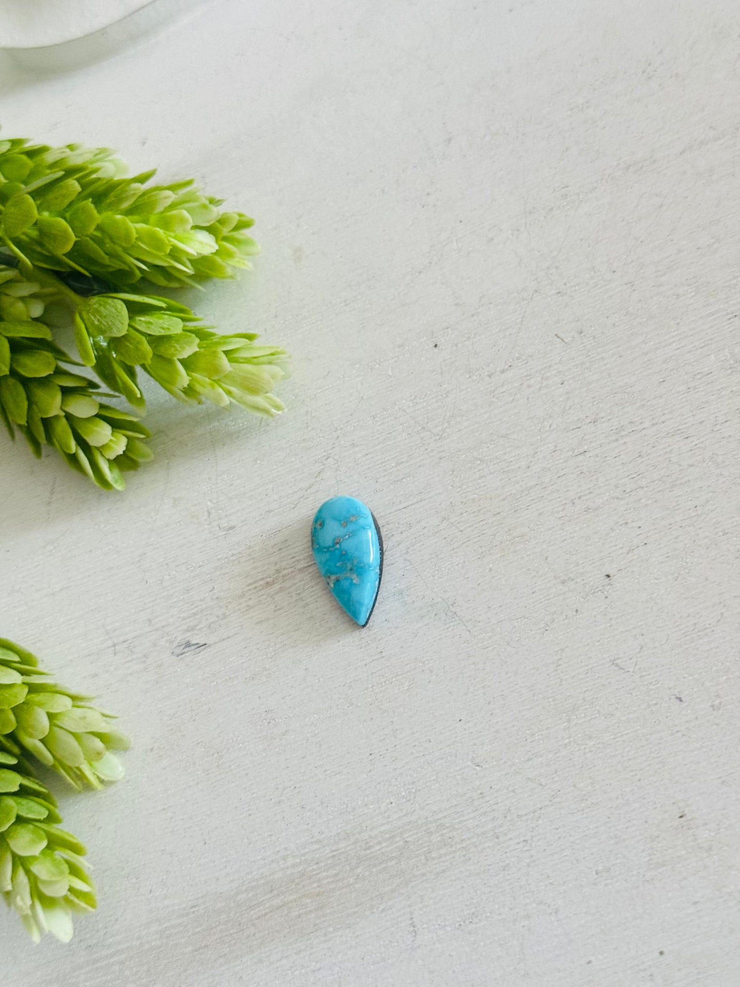 Blue Bird Turquoise Cab
