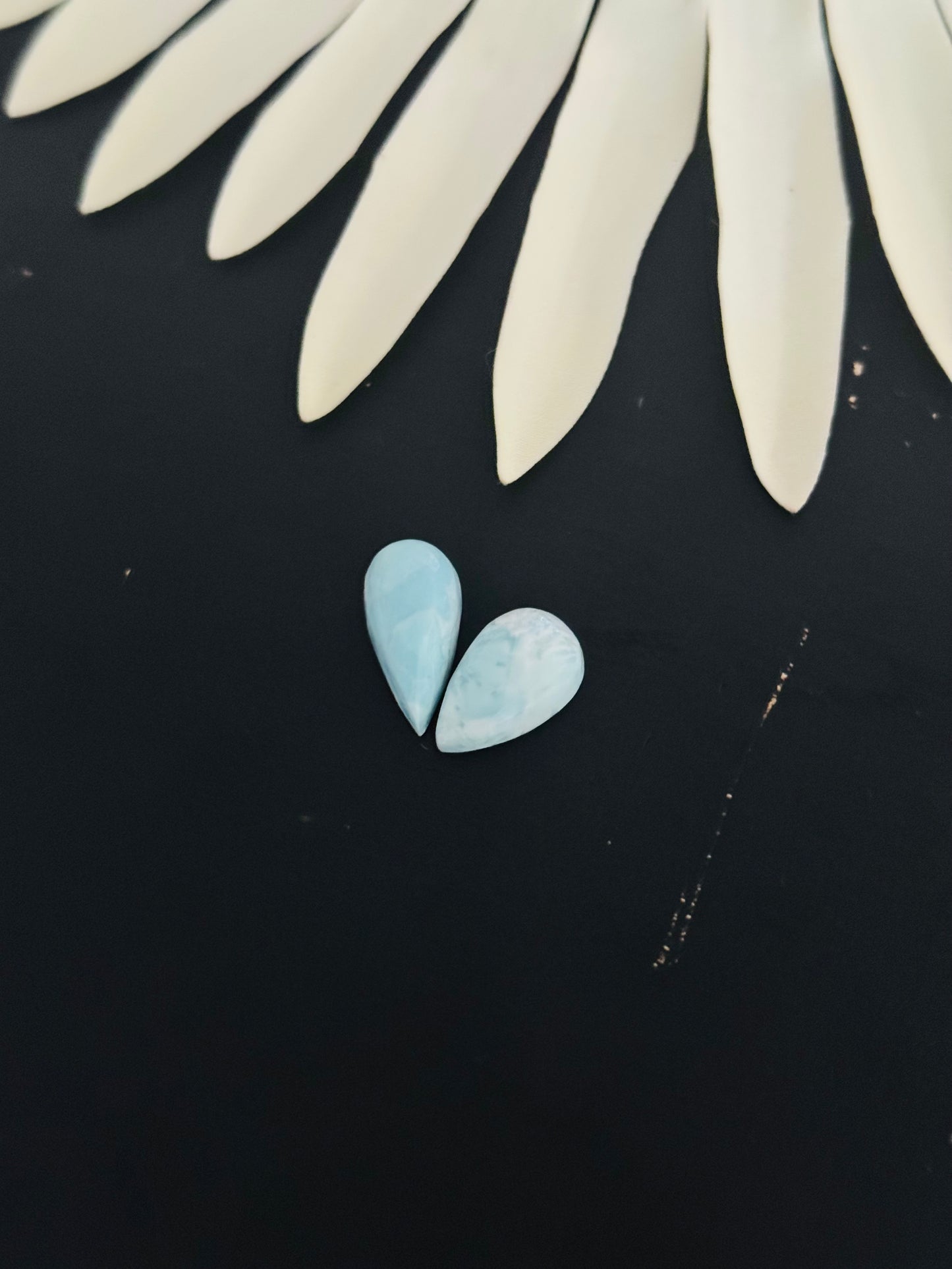 Larimar Cabs