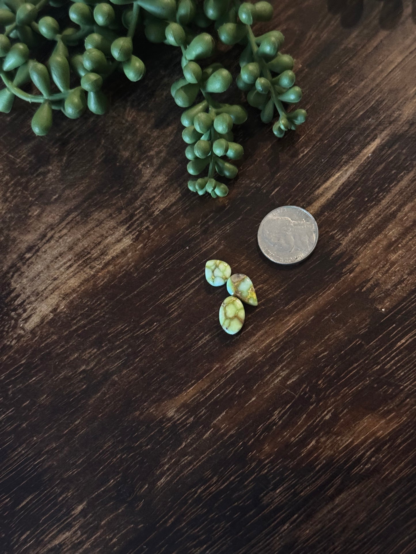 Palomino Variscite Cabs