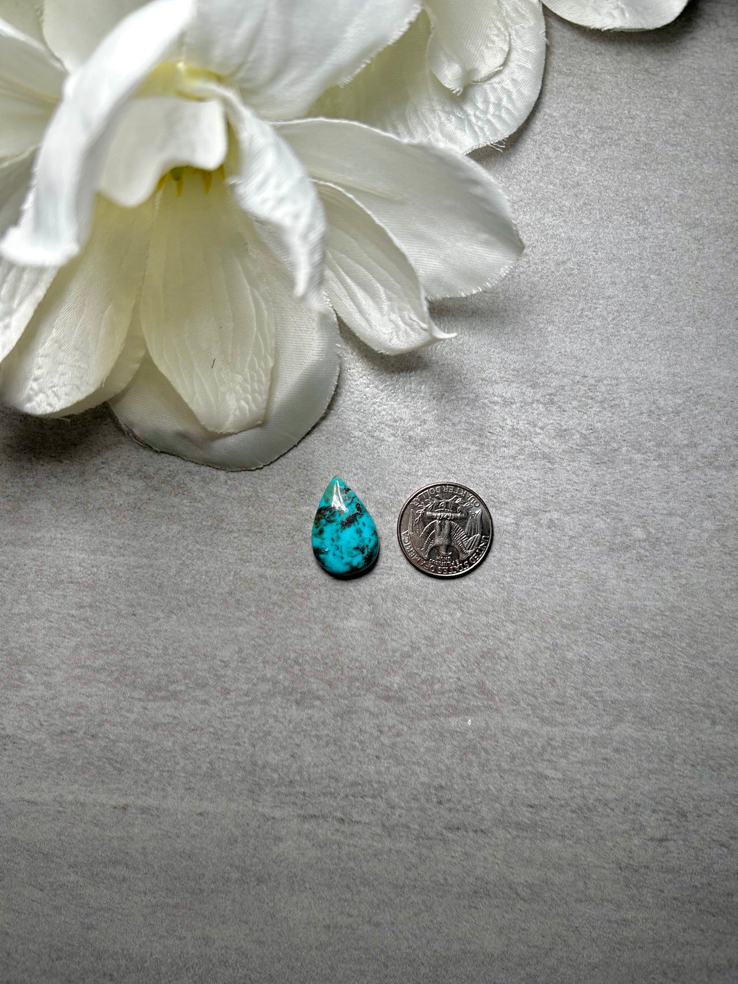 Kingman Turquoise Cab