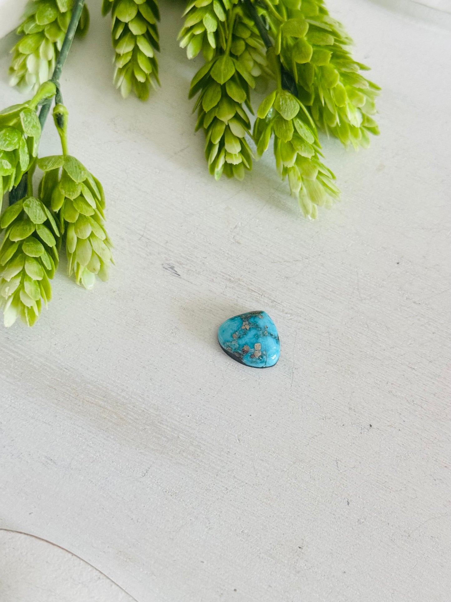 Blue Bird Turquoise Cab